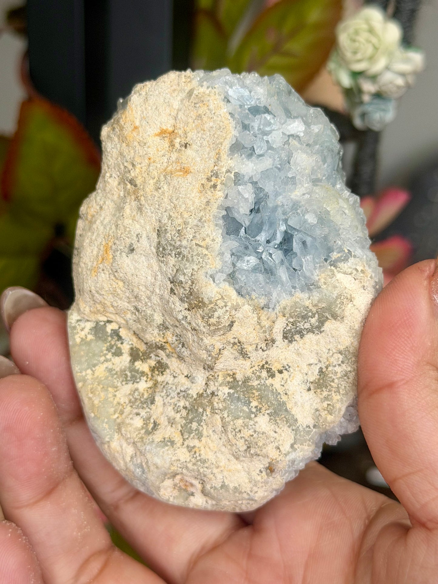 Celestite Cluster | 305g
