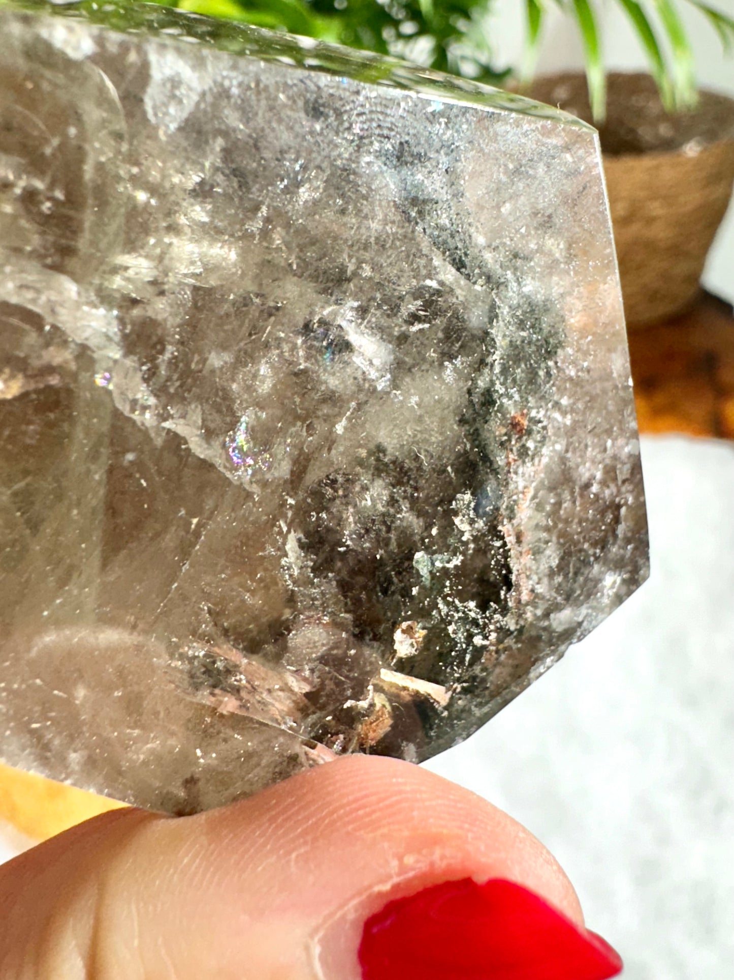 Shaman (Garden) Smokey Quartz Free Form | 196g