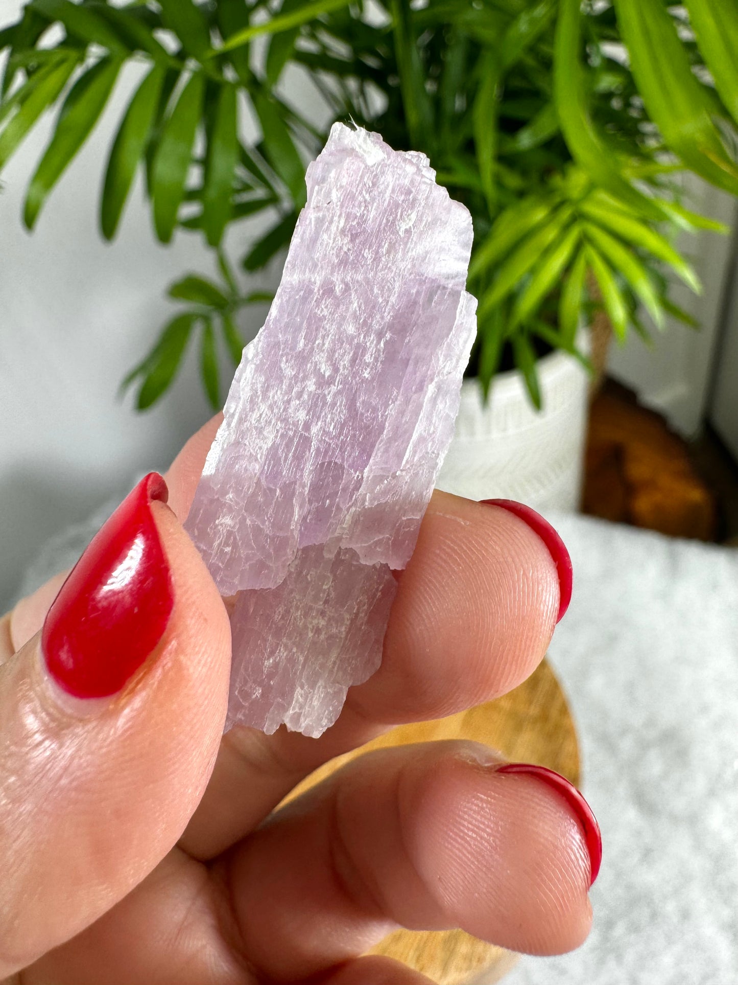 Natural Kunzite Specimen | 10g