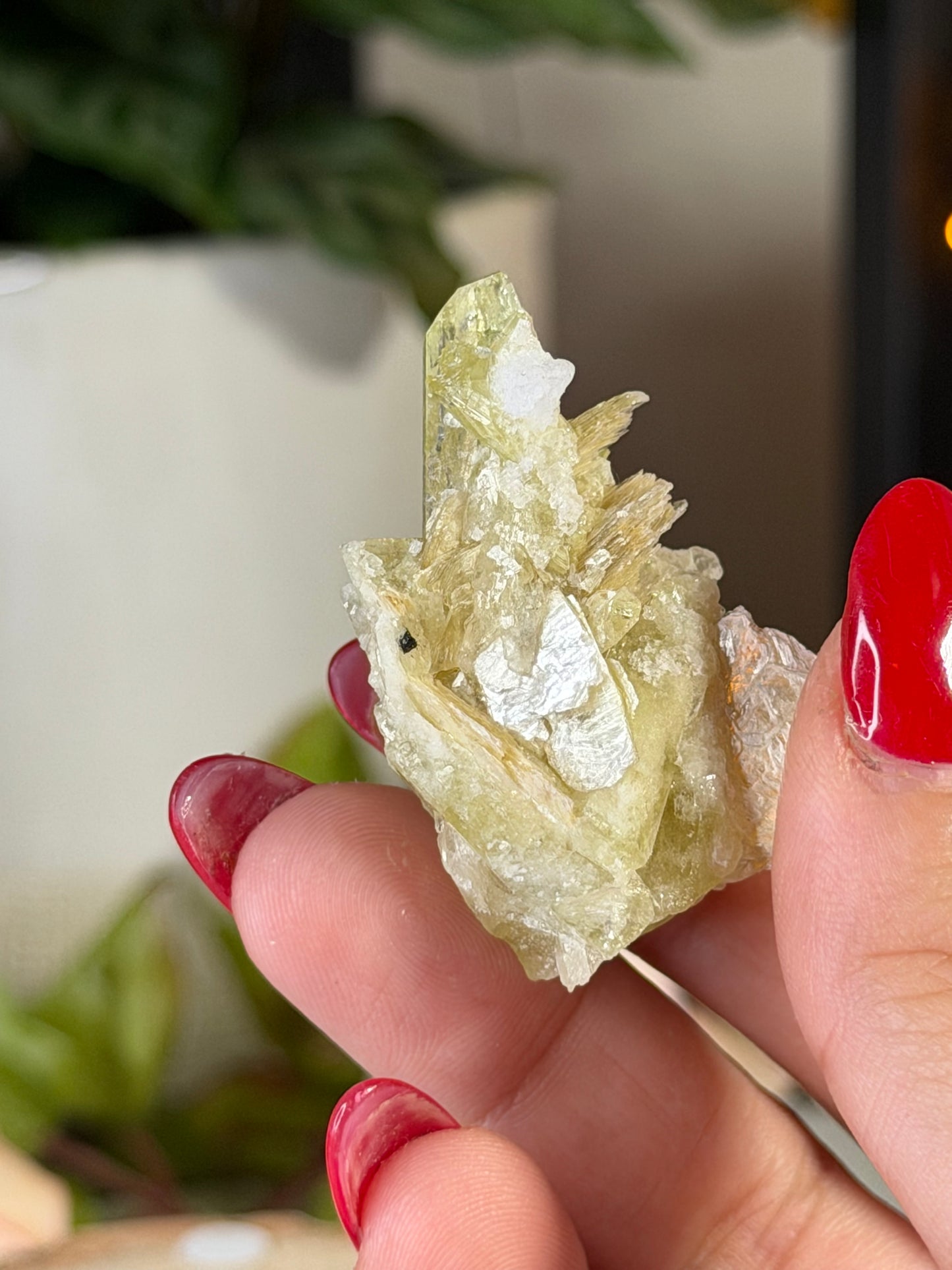 Collectors Item - Mini Brazilianite | 18g