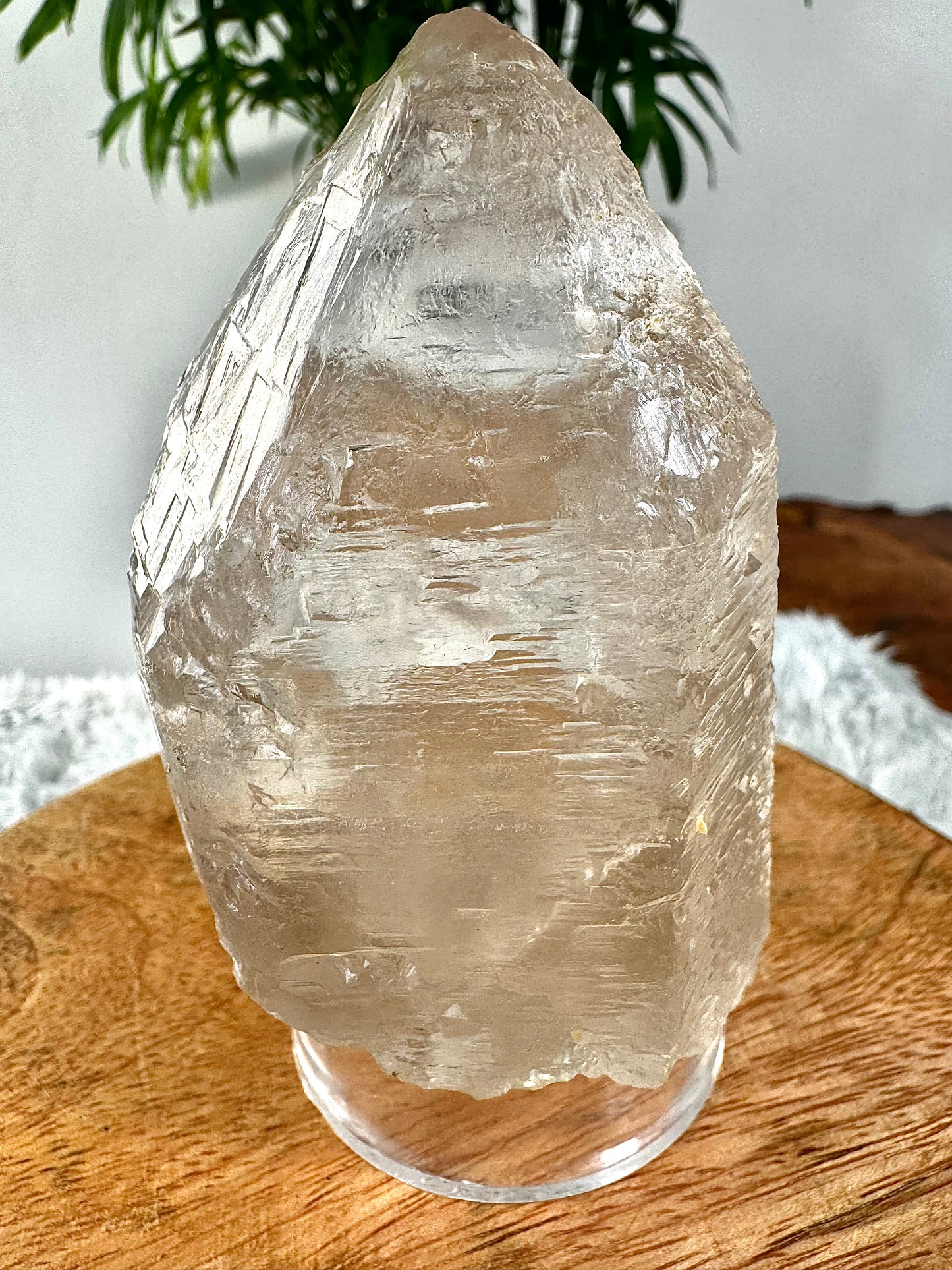 Star Seed - Trine Master Healer & Record Keeper Natural Clear Quartz Point | 271g | Unusual (Copy)