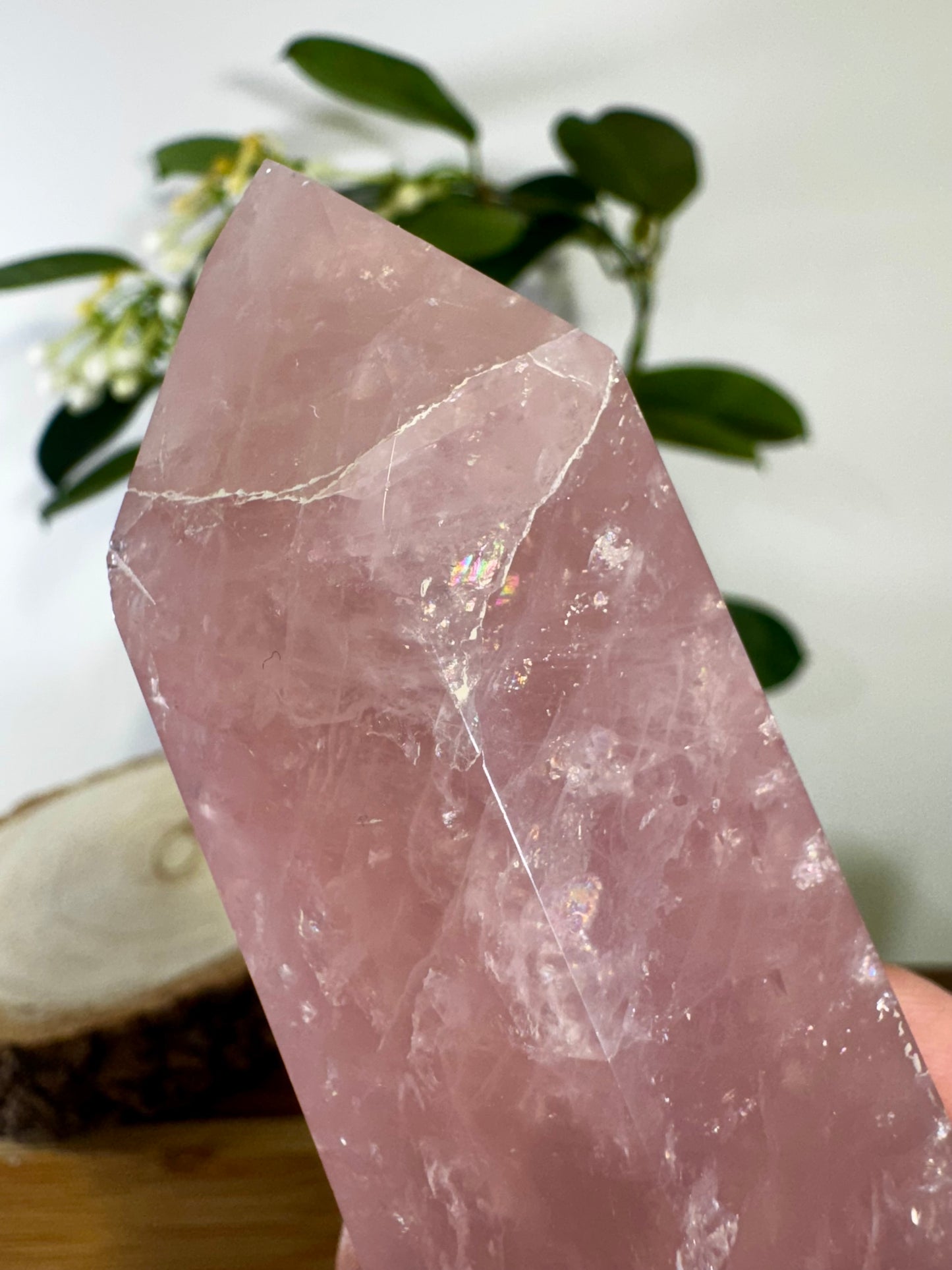 High Quality Rose Quartz Tower | 228g