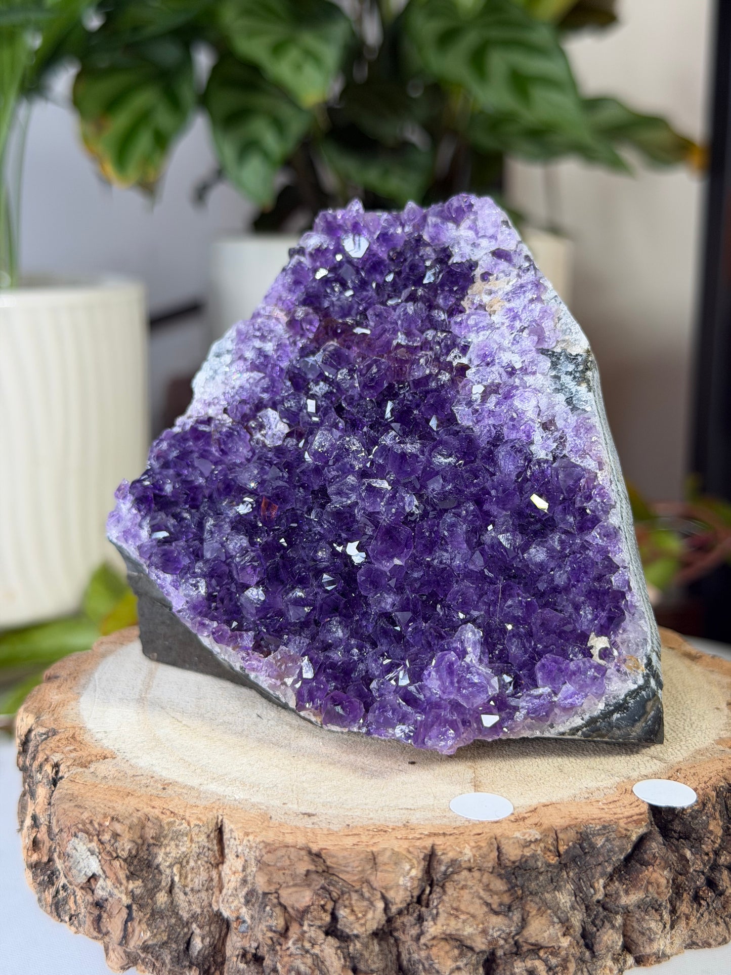 Amethyst Cut Base From Uruguay 1 | 440g