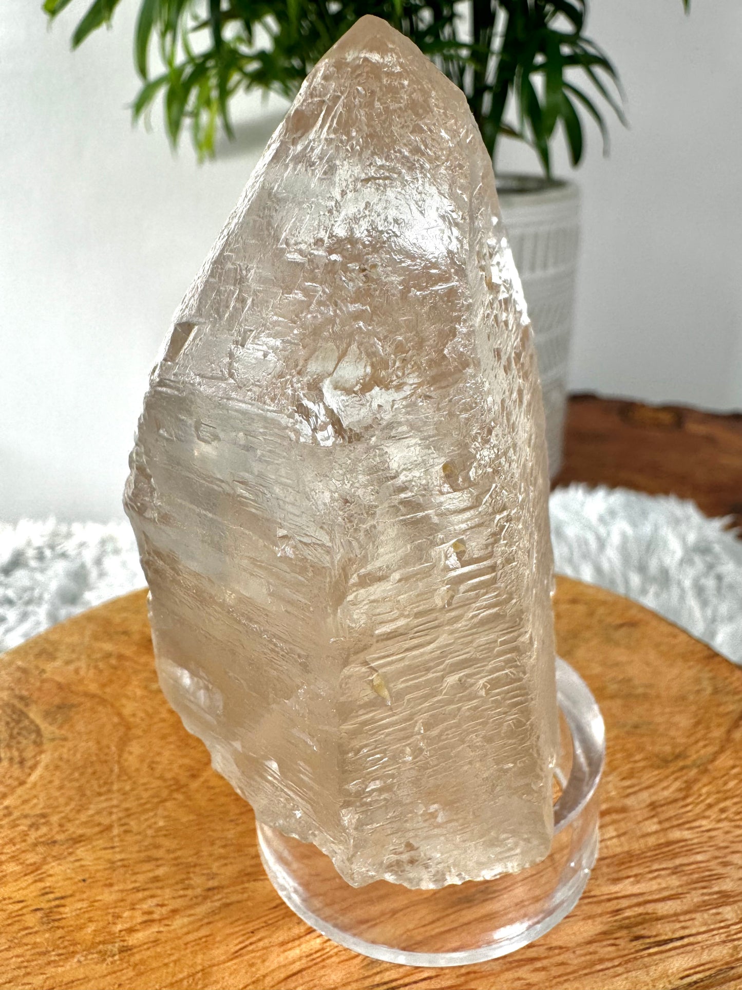 Star Seed - Trine Master Healer & Record Keeper Natural Clear Quartz Point | 271g | Unusual (Copy)