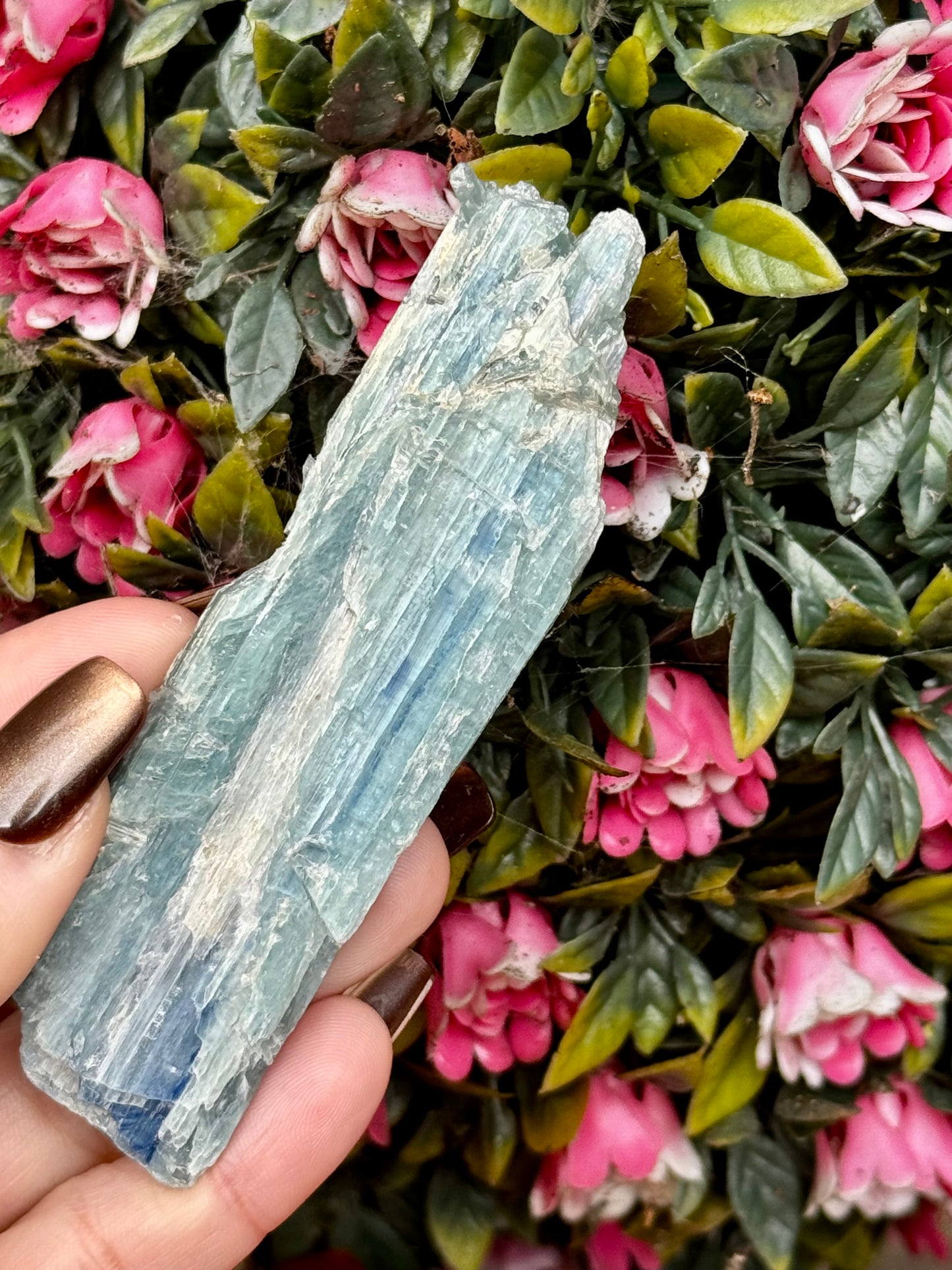 Blue Green Kyanite from Zambia | 56g