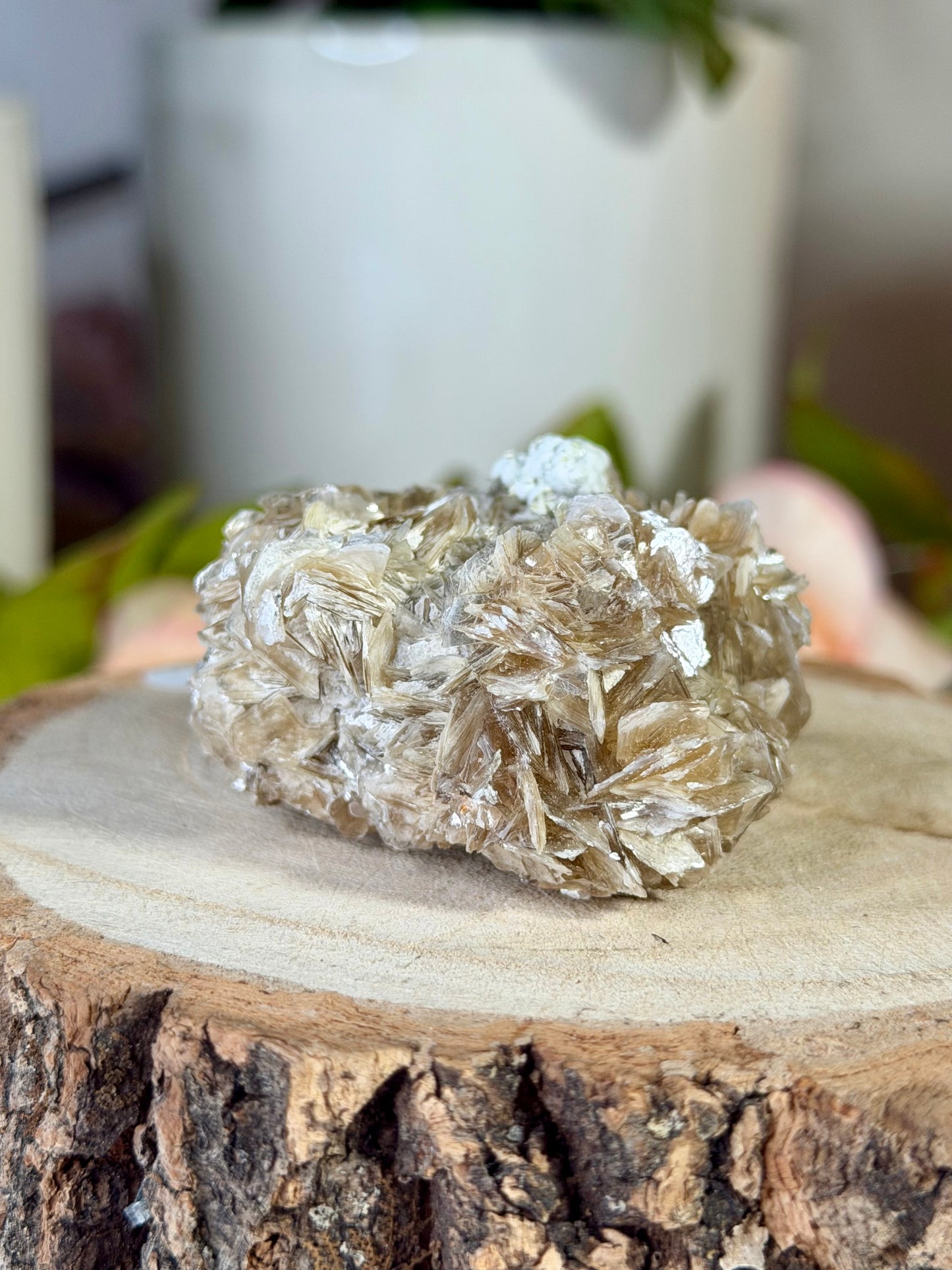 Star Mica with Zanazite from Brazil  | 76g