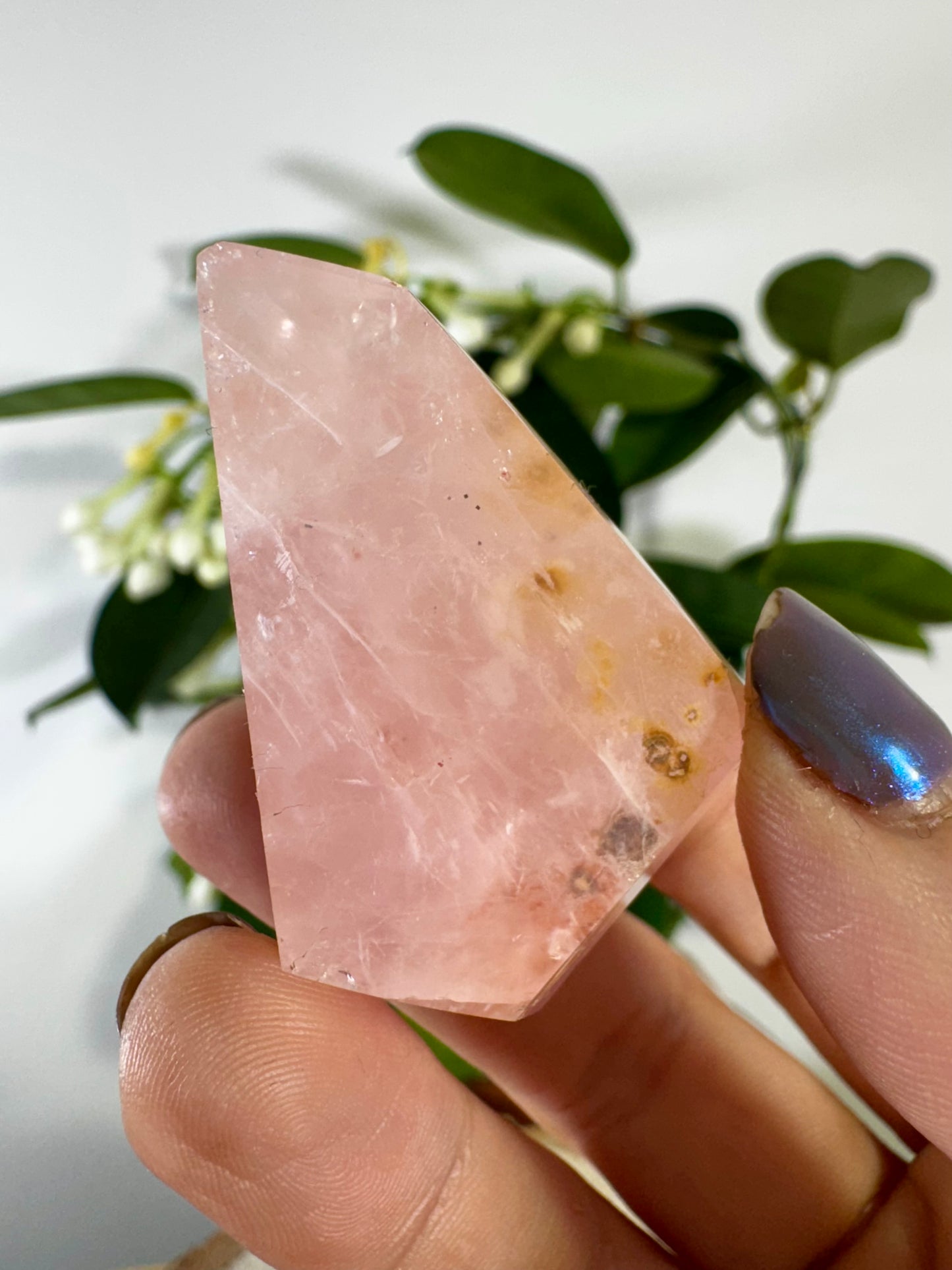 High Quality Rose Quartz Free Form | 37g