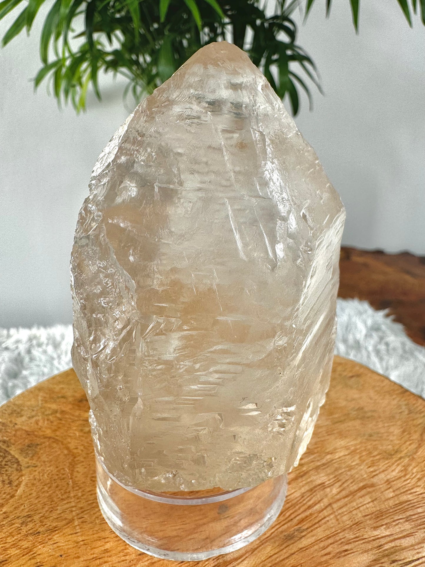 Star Seed - Trine Master Healer & Record Keeper Natural Clear Quartz Point | 271g | Unusual (Copy)