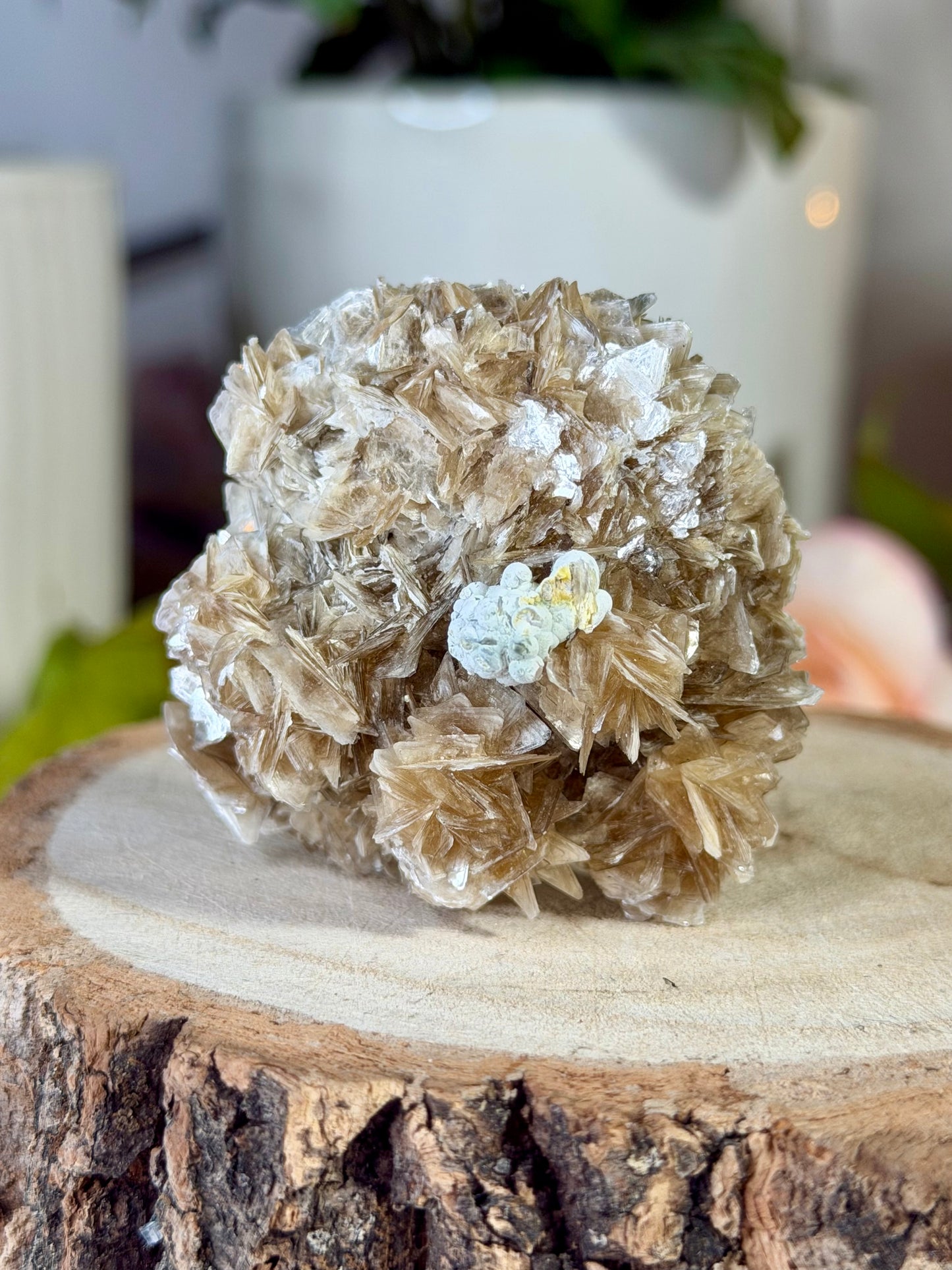 Star Mica with Zanazite from Brazil  | 76g