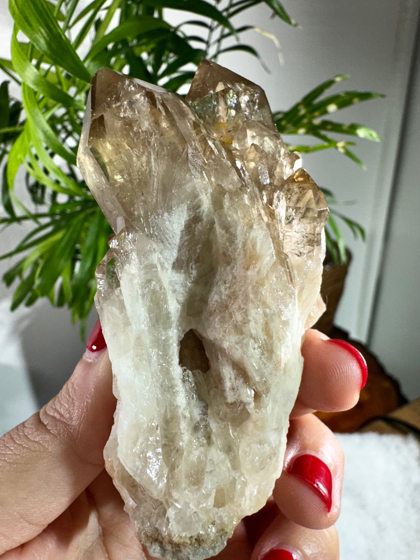 100% Natural Congo ('Kundalini) Citrine | 209g