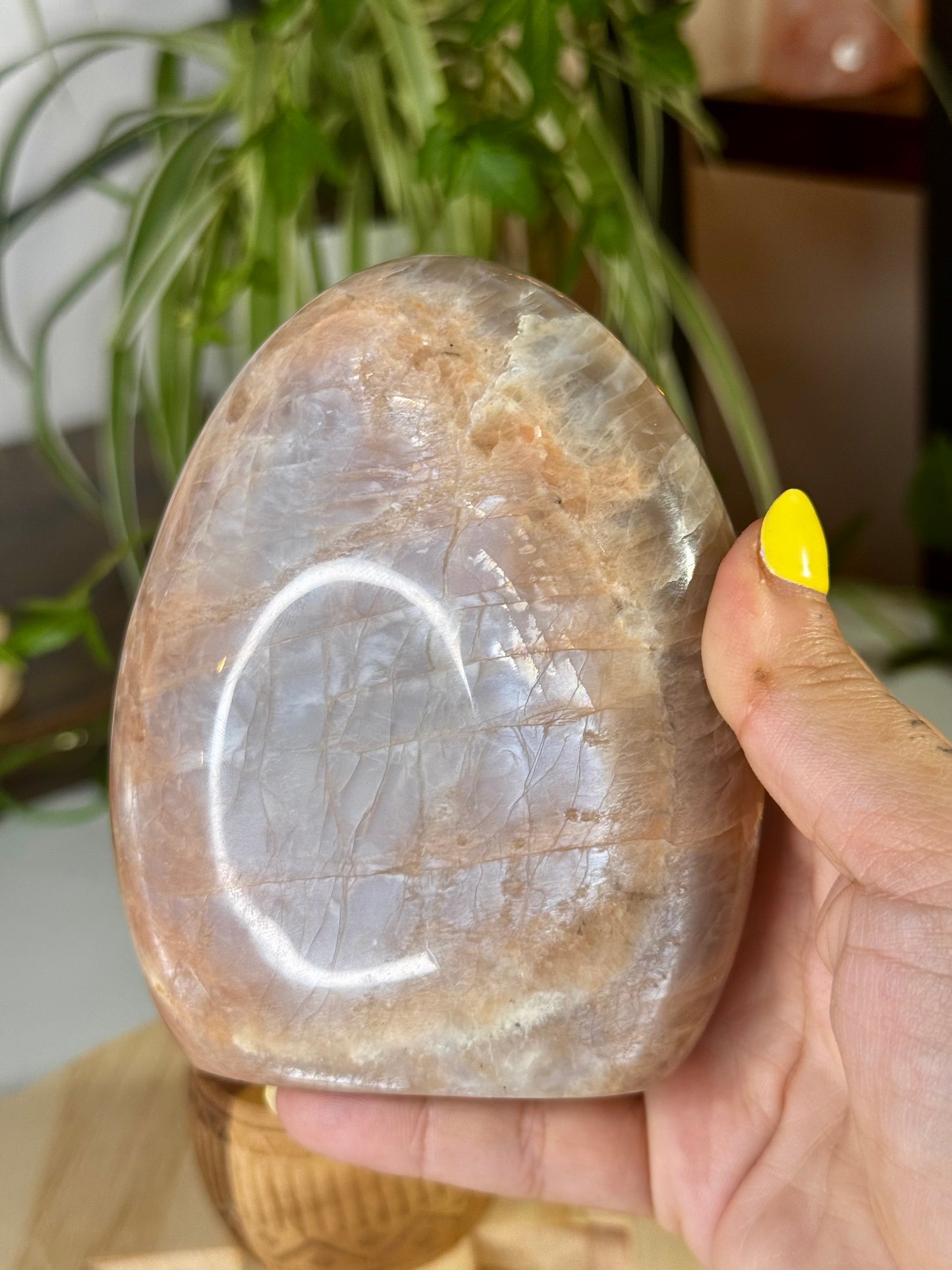 Flashy Peach Moonstone Freeform  | 645g