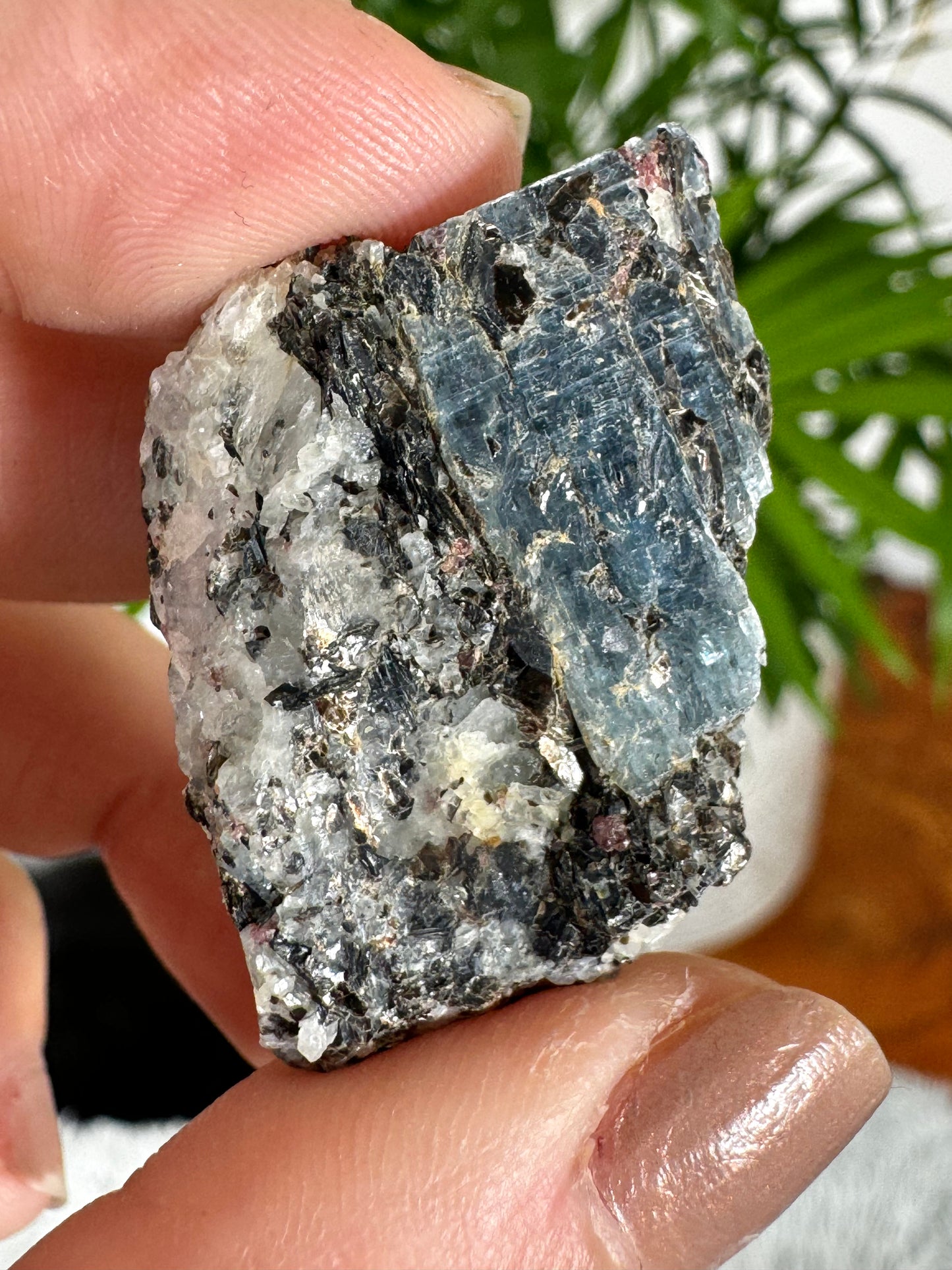 Unusual Kyanite & Garnet Specimen on Gneiss Biotite | 13g