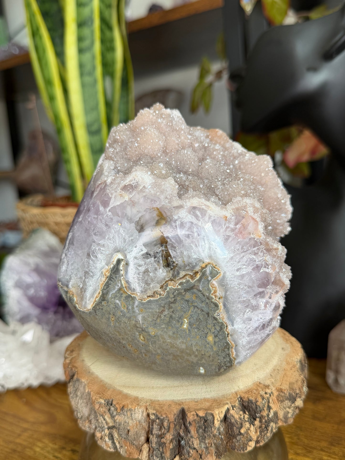Stunning Sugar Amethyst 'Flower' Brasil | 1.5kg