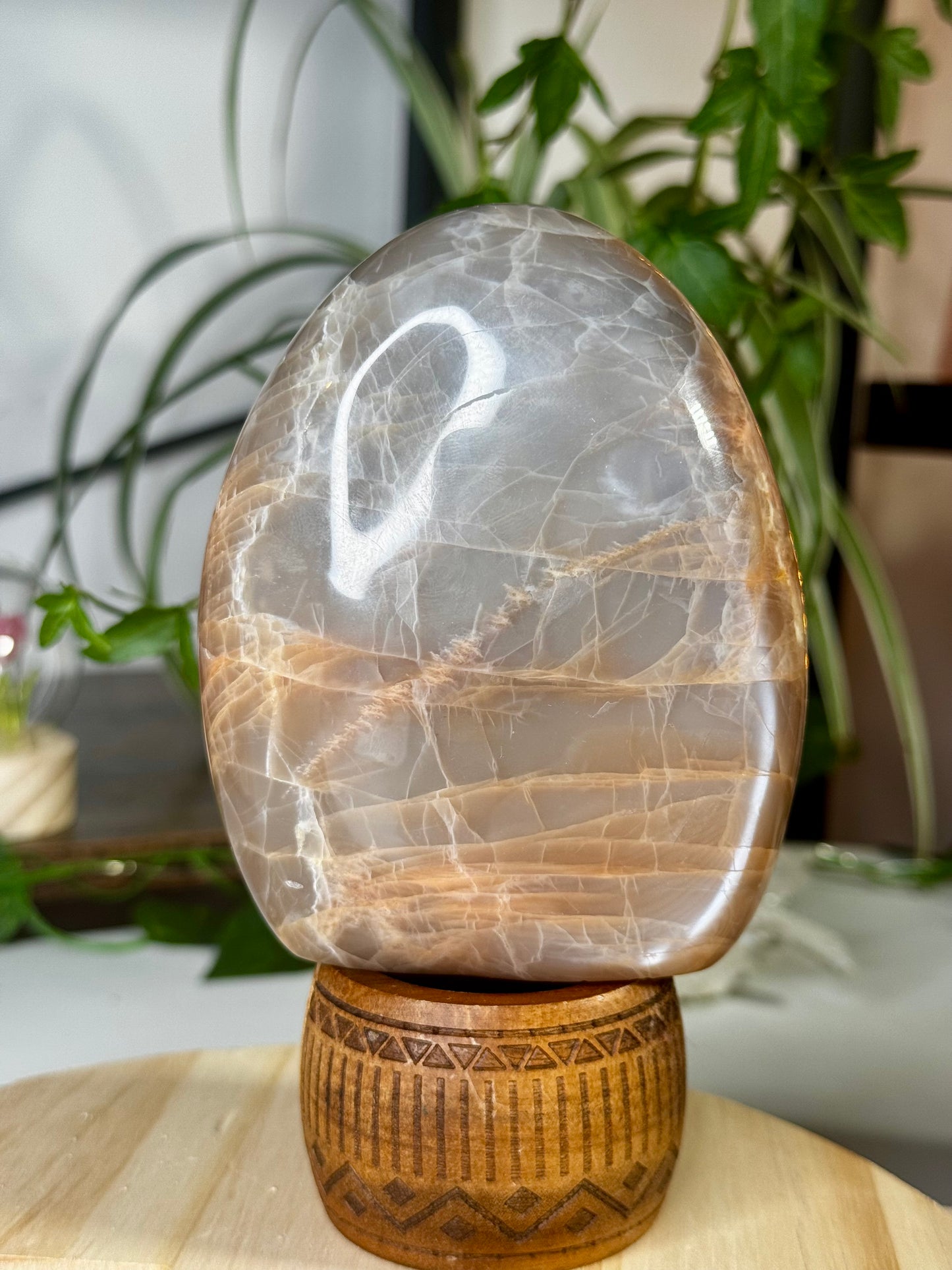 Flashy Peach Moonstone Freeform  | 645g