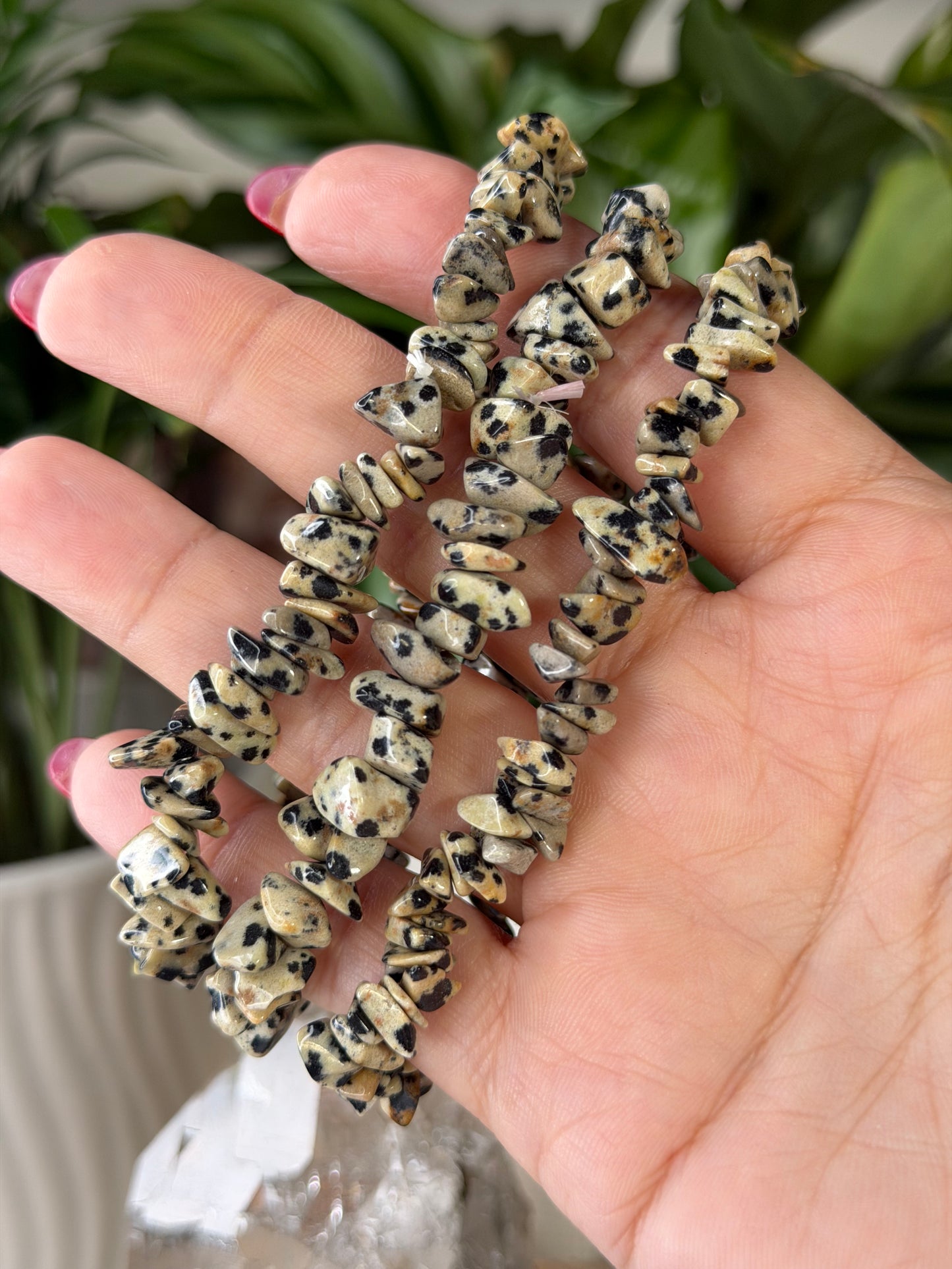 Elasticated Dalmatian Jasper Bracelet