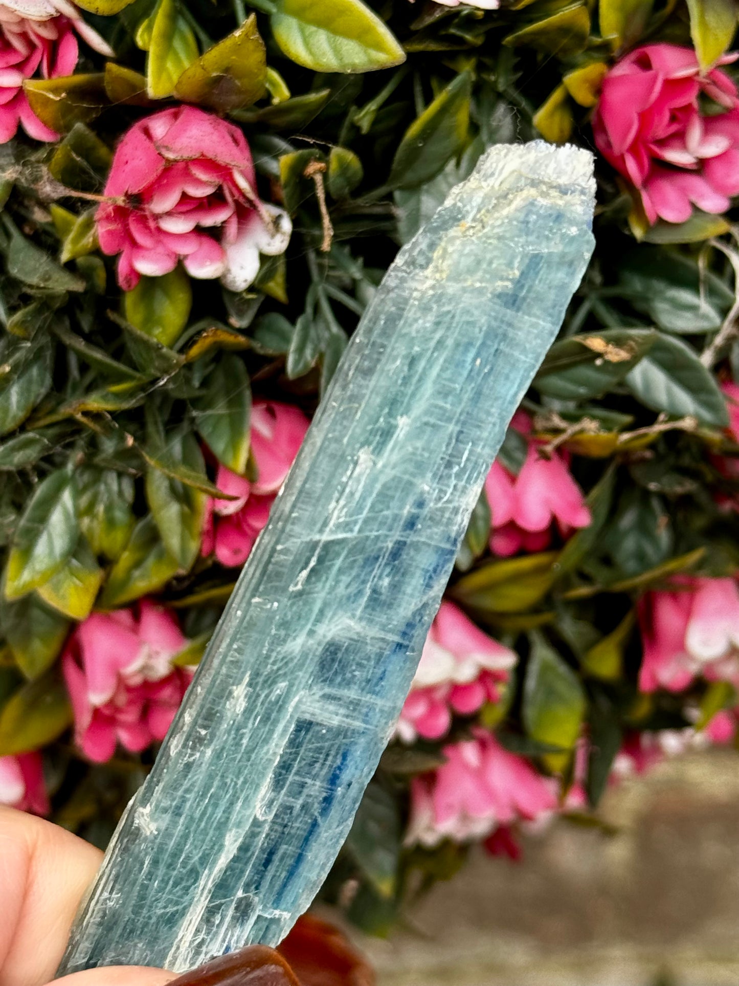 Blue Green Kyanite from Zambia | 24g