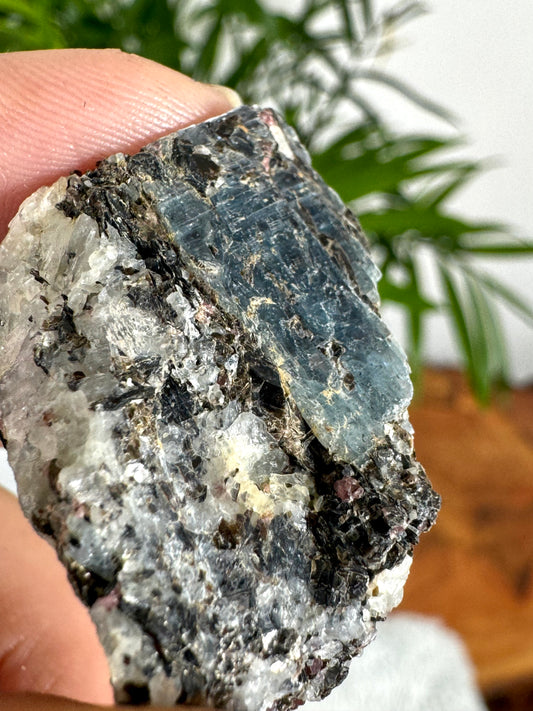 Unusual Kyanite & Garnet Specimen on Gneiss Biotite | 13g