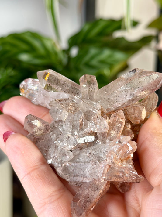 Mini 'Pink Lithium' Cluster 1  | 83g