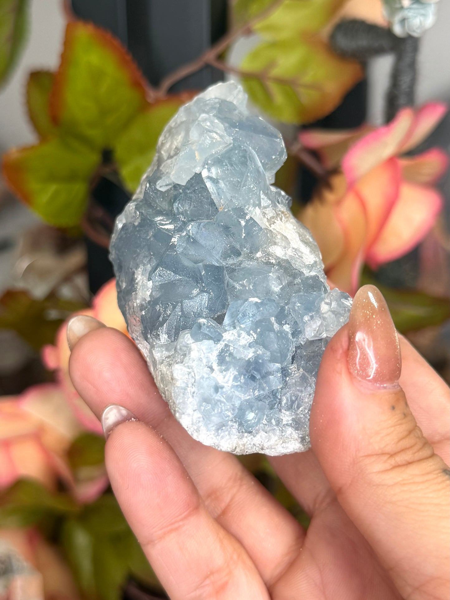 Celestite Cluster | 228g