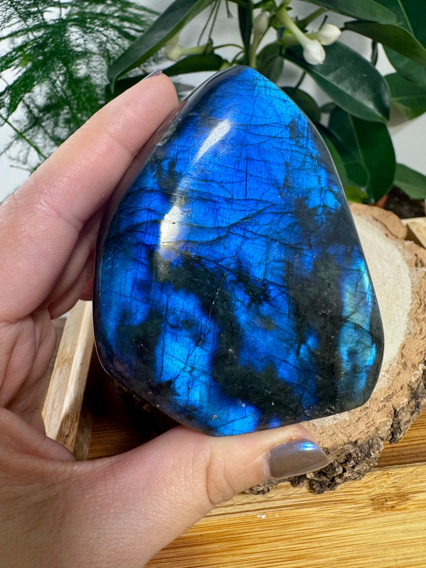 Labradorite Free Form | 276g