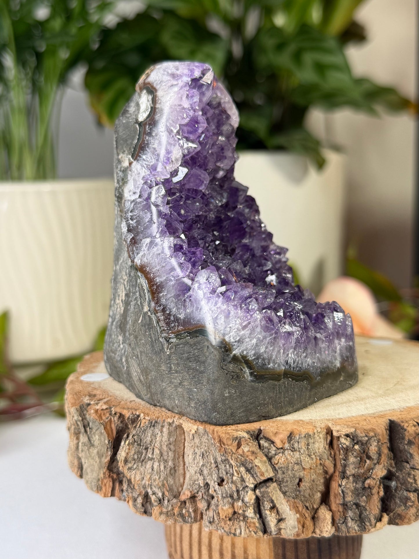 Amethyst Cut Base From Uruguay 3 | 343g
