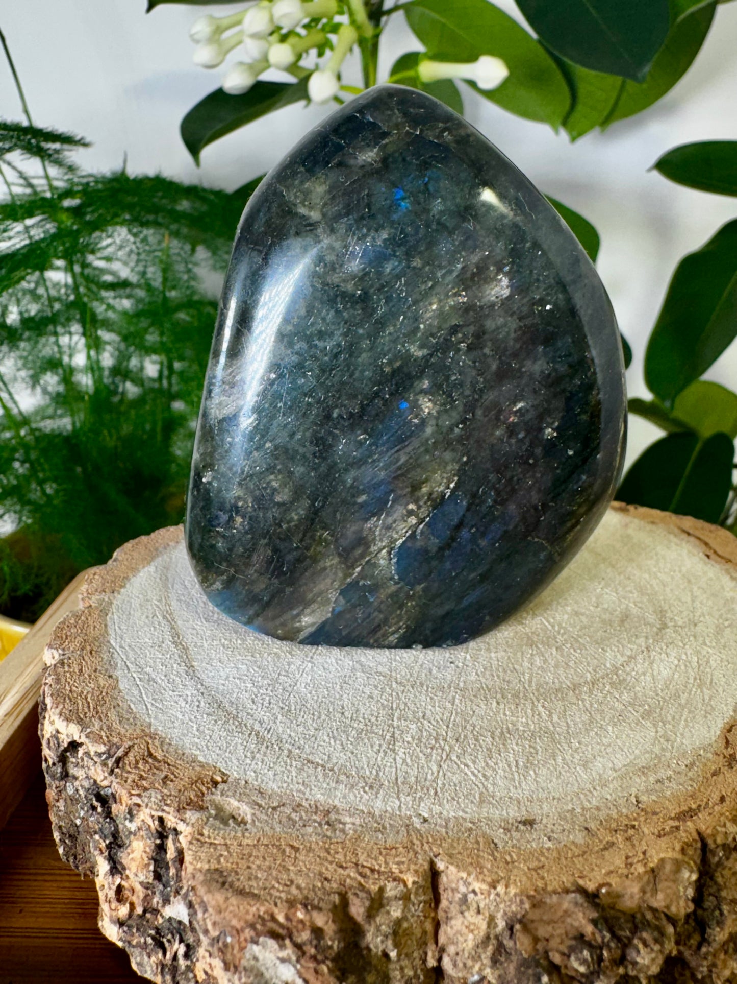 Labradorite Free Form | 276g