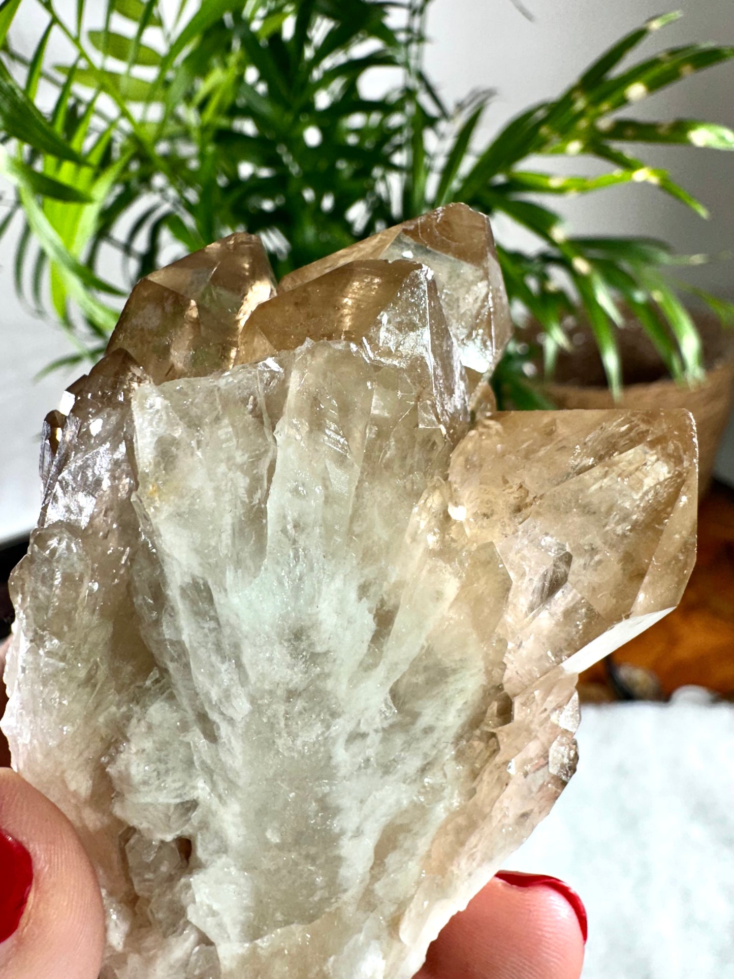 100% Natural Congo ('Kundalini) Citrine | 209g