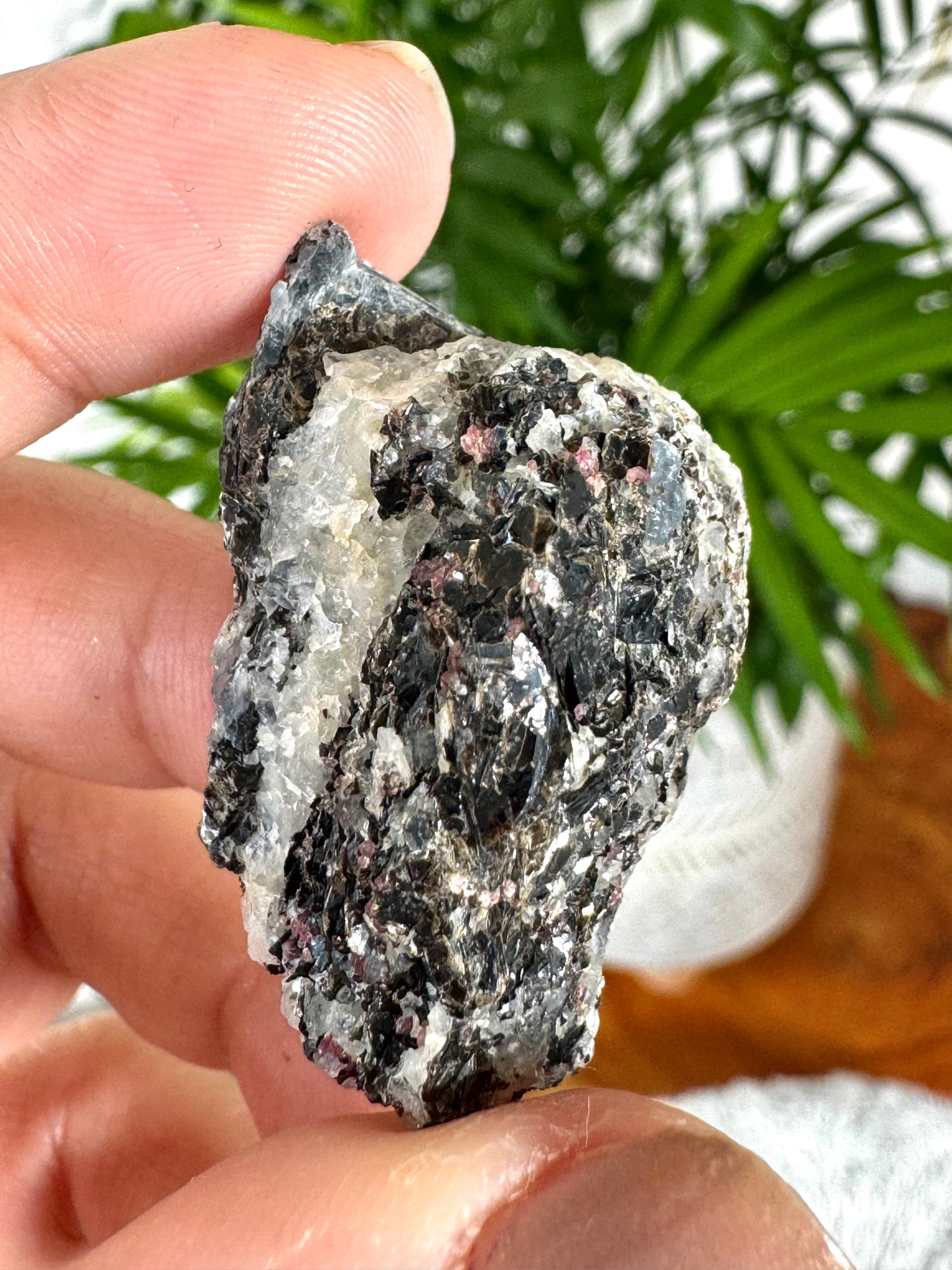 Unusual Kyanite & Garnet Specimen on Gneiss Biotite | 13g