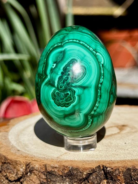 Malachite egg | 167g