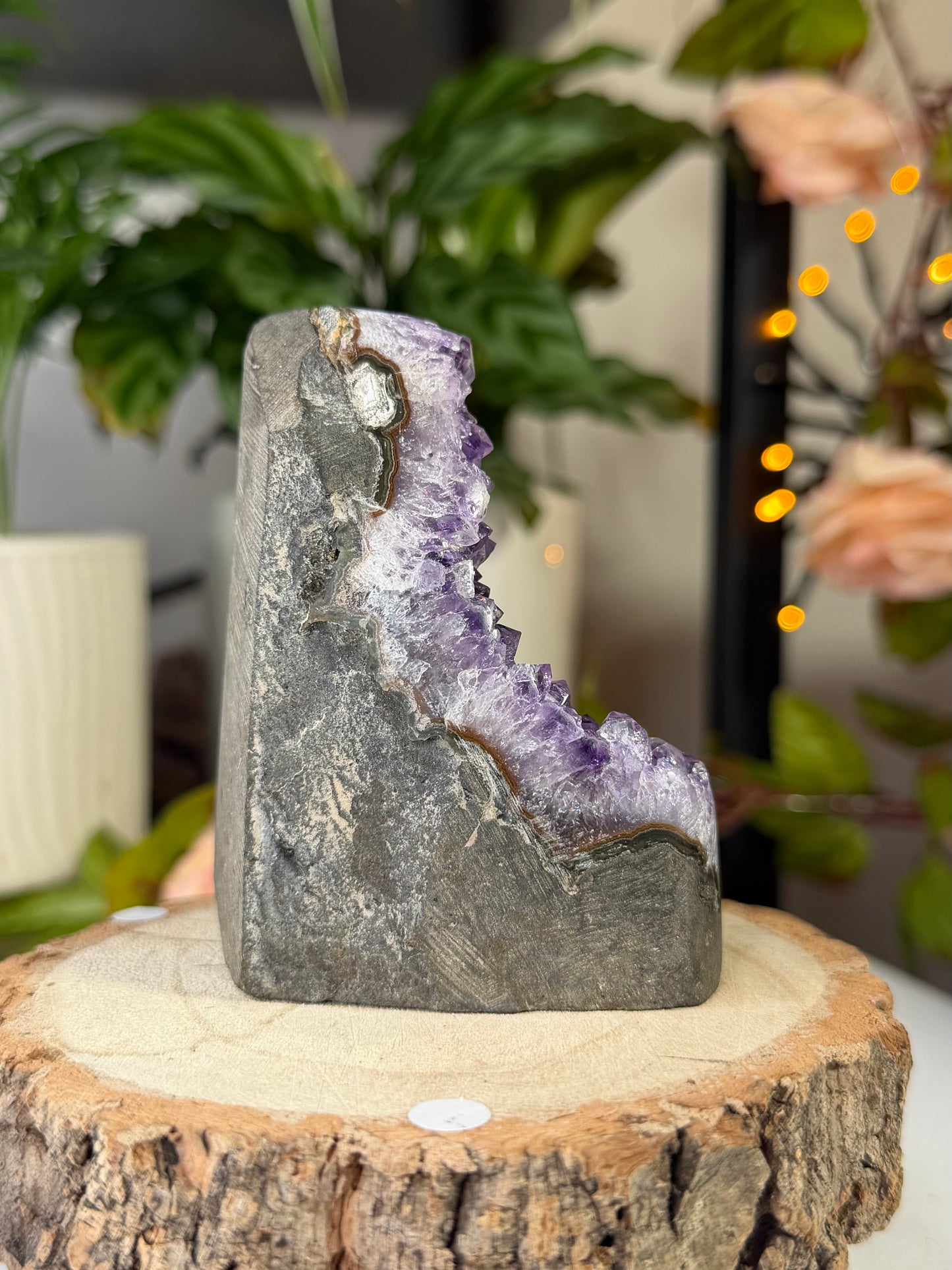 Amethyst Cut Base From Uruguay 3 | 343g