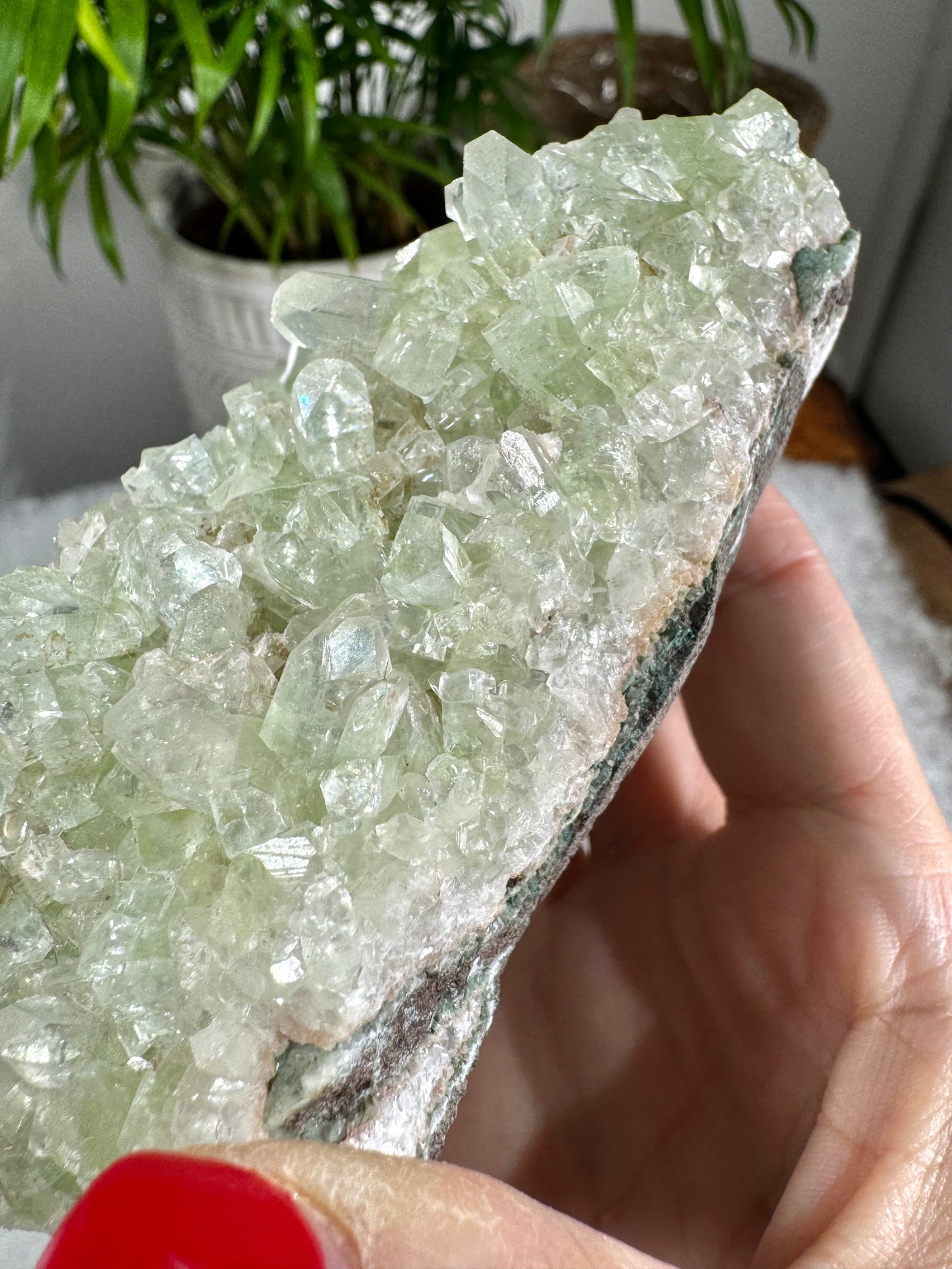 Green Apophyllite Cluster | 398g