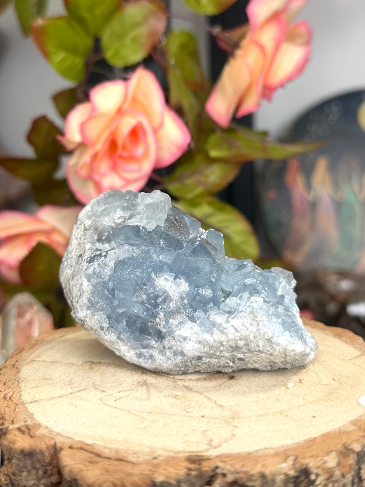 Celestite Cluster | 228g