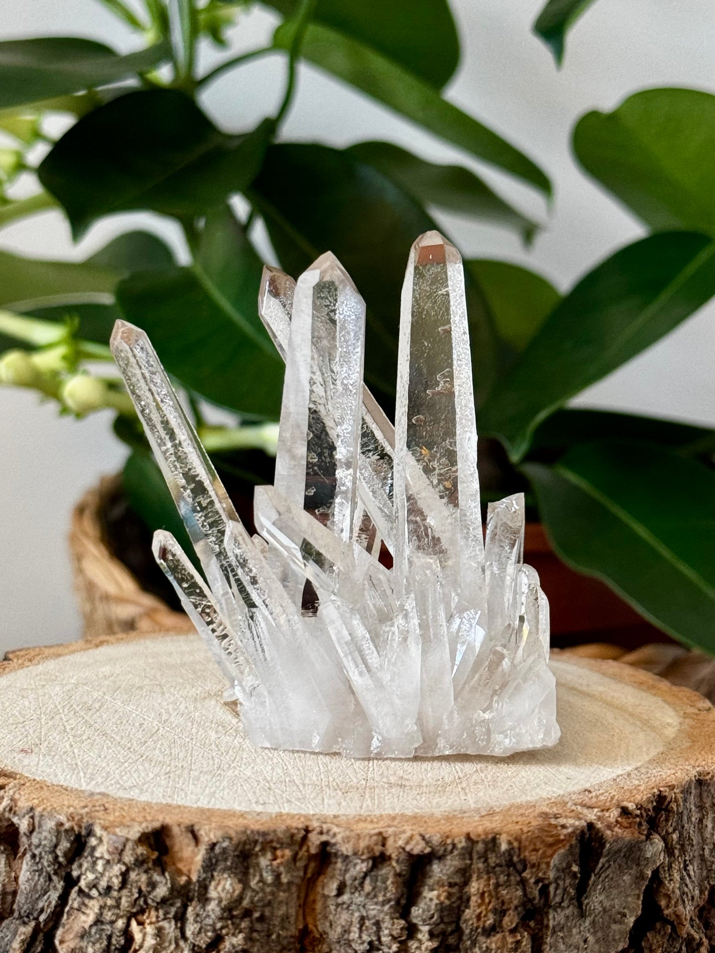 AAA Unique Clear Quartz Cluster | 77g