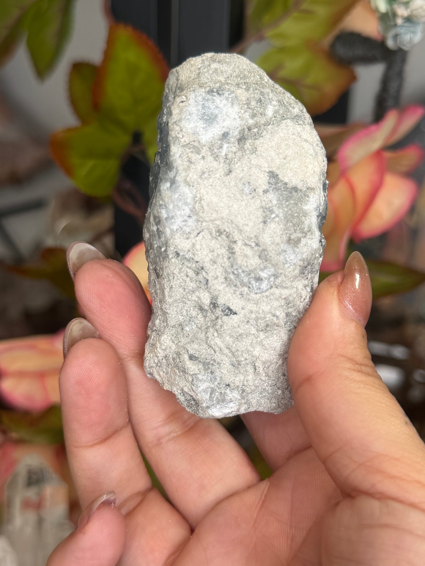 Celestite Cluster | 228g