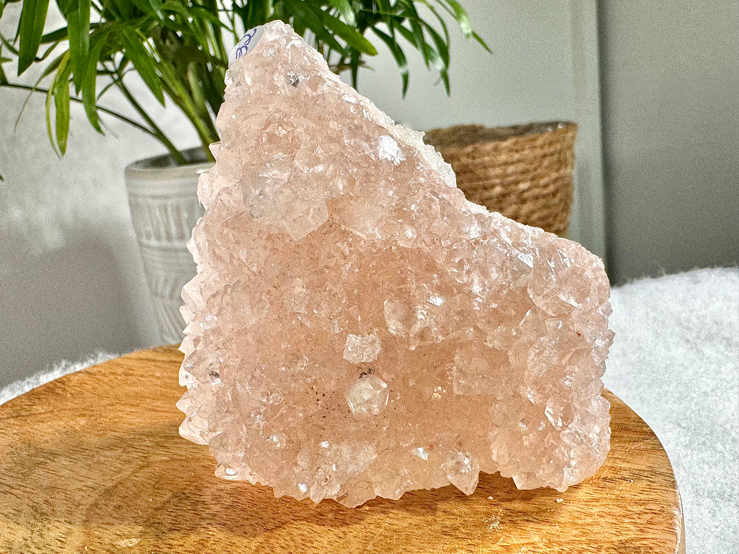 Pink Apophyllite Cluster | 133g