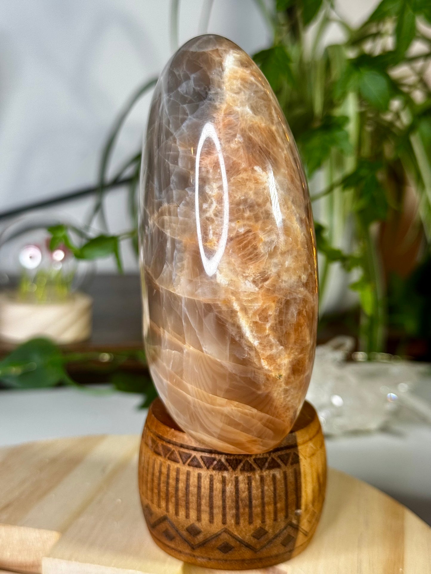 Flashy Peach Moonstone Freeform  | 645g