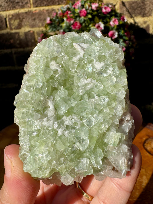 Green Apophyllite Cluster | 155g