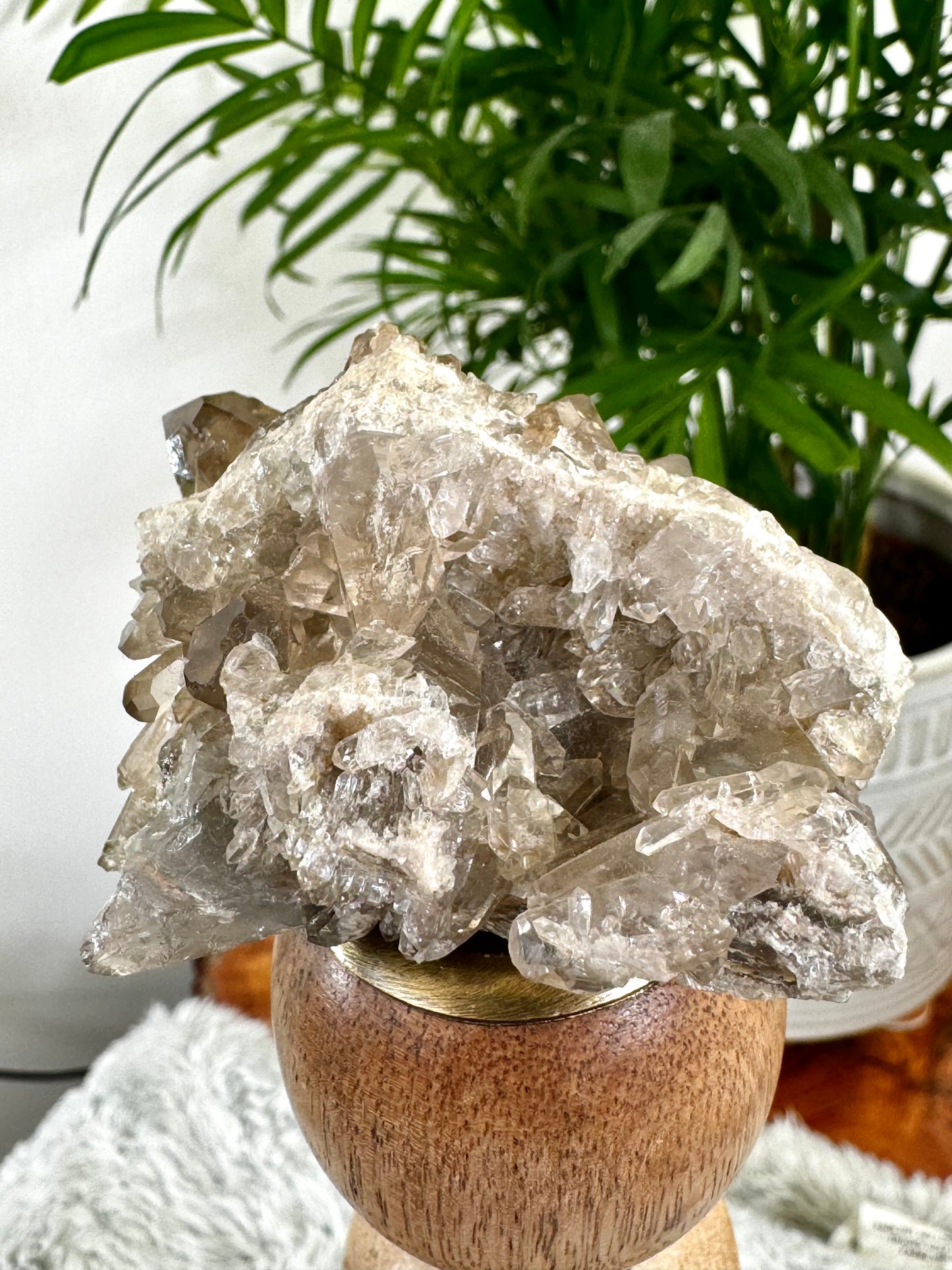 Smokey Quartz Cluster | 84g