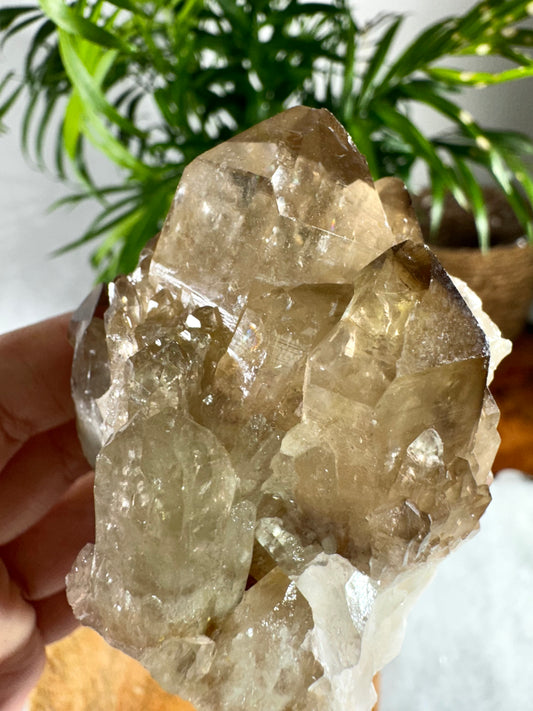 100% Natural Congo ('Kundalini) Citrine | 209g