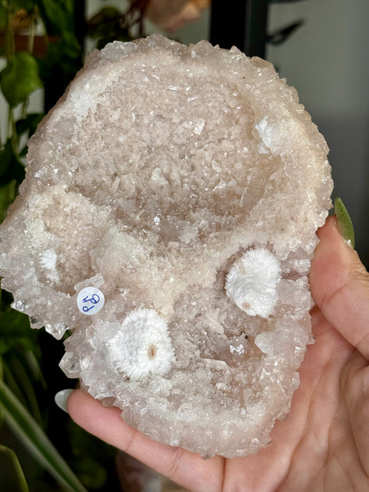 Pink Apophyllite Cluster | 281g