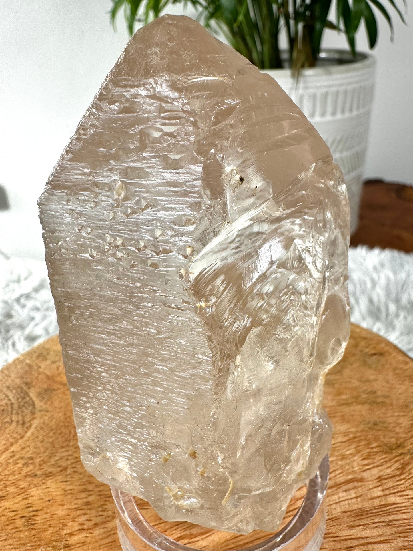 Star Seed - Trine Master Healer & Record Keeper Natural Clear Quartz Point | 271g | Unusual (Copy)