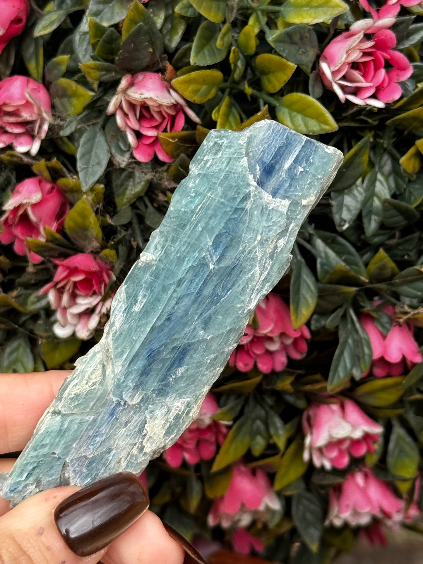 Blue Green Kyanite from Zambia | 56g