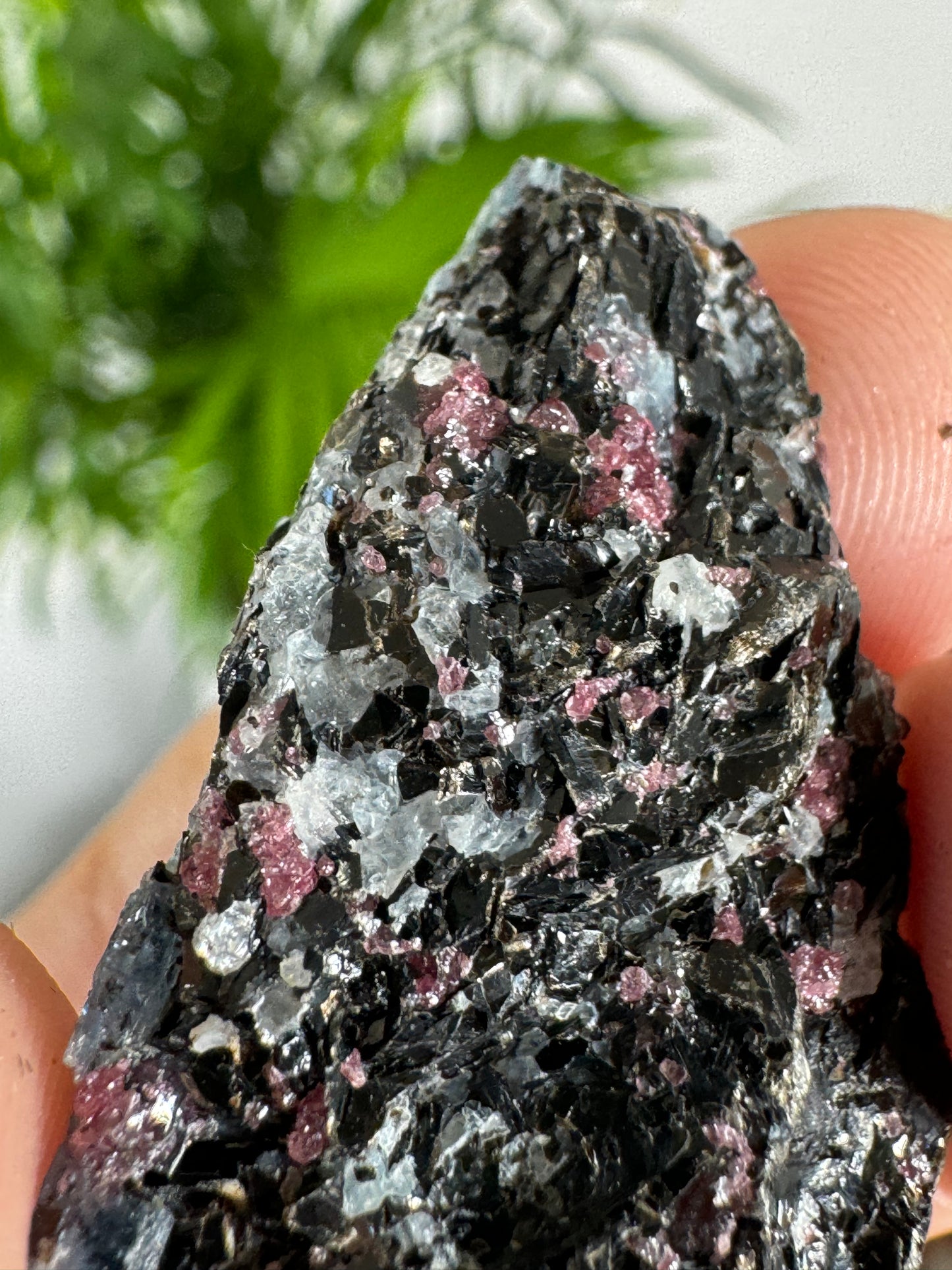 Unusual Kyanite & Garnet Specimen on Gneiss Biotite | 8g