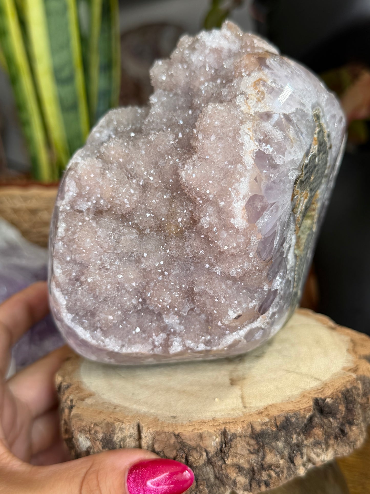 Stunning Sugar Amethyst 'Flower' Brasil | 1.5kg