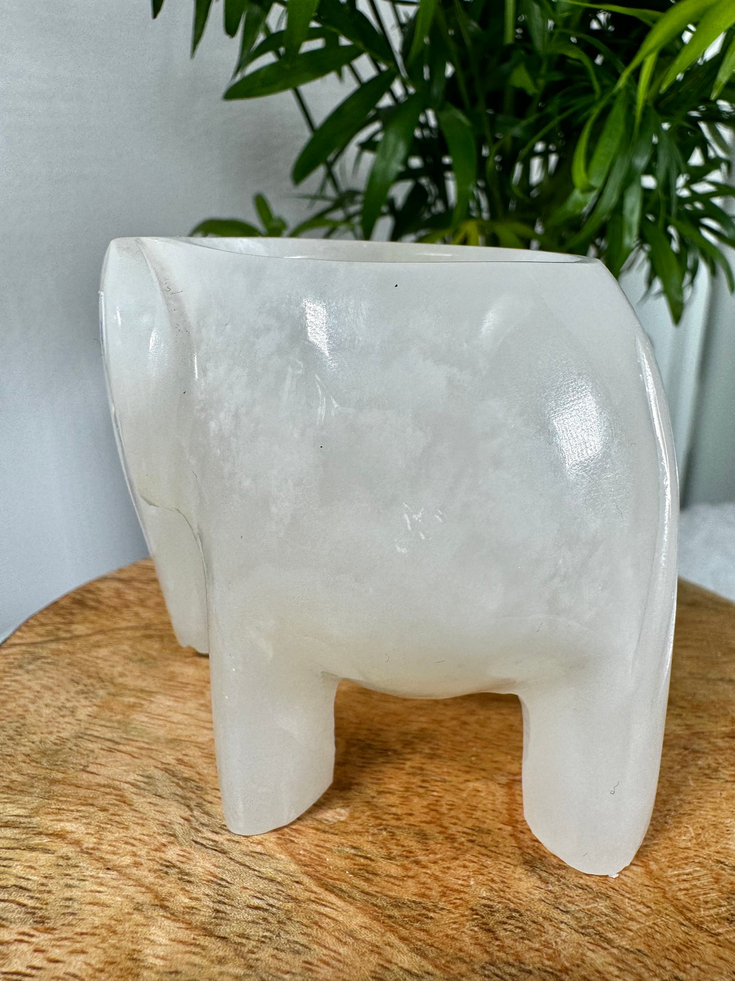 Onyx Elephant Candle Holder |364g