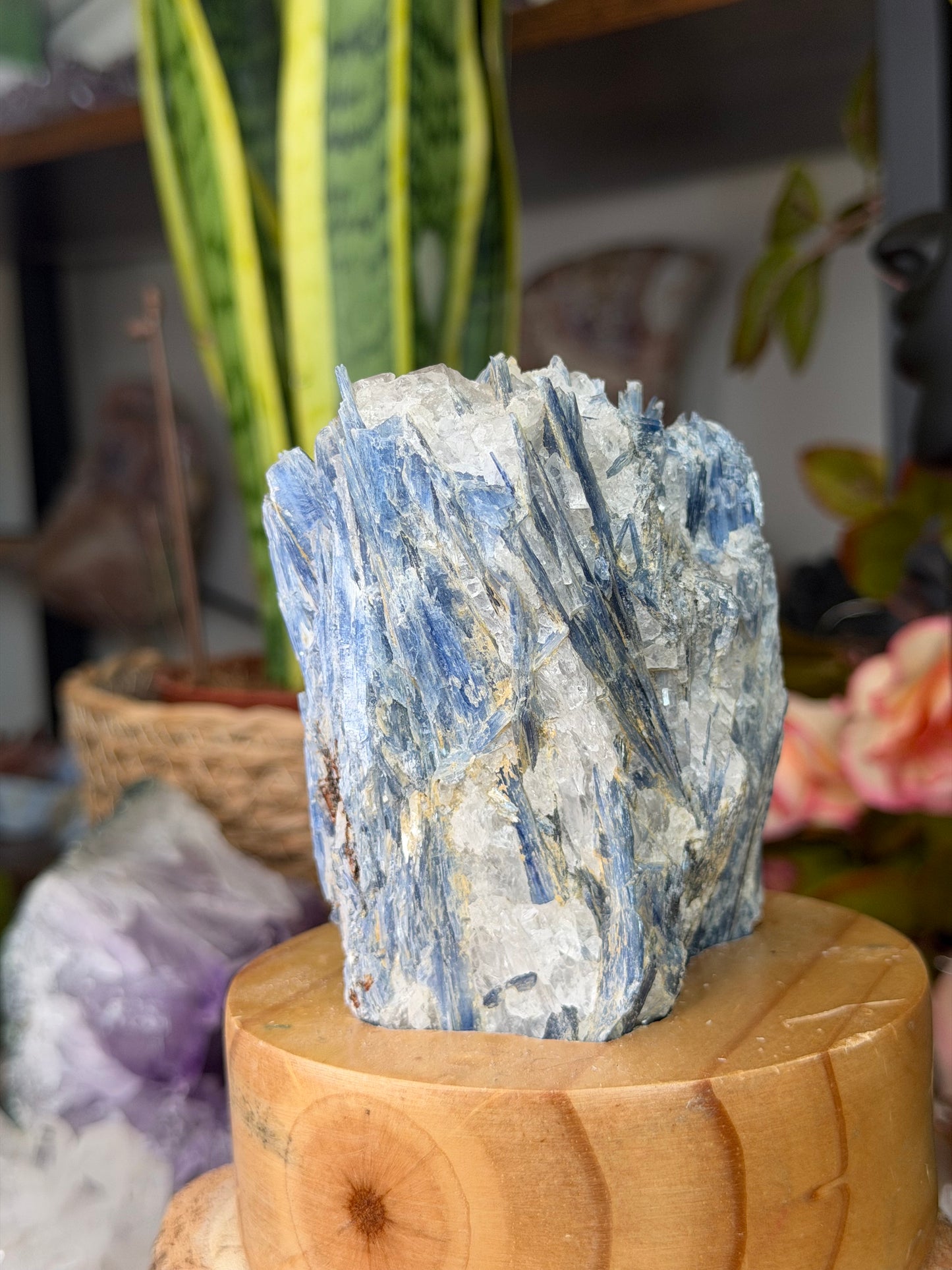 Stunning Blue Kyanite Specimen on Stand from Brazil | 770g