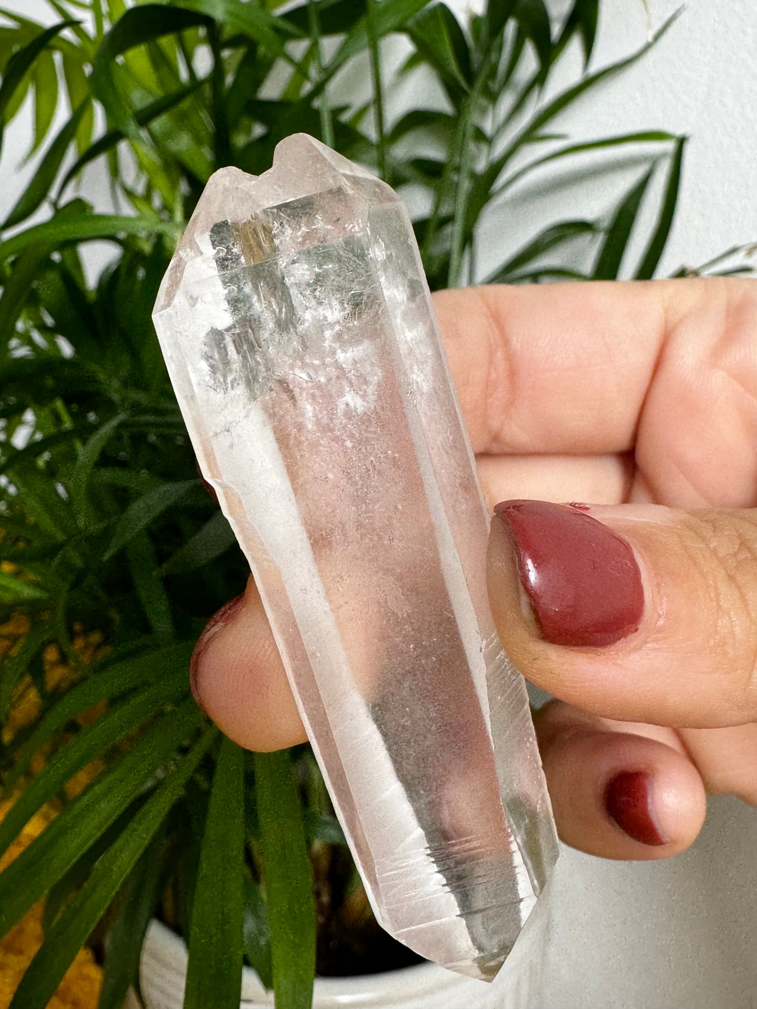 Lemurian