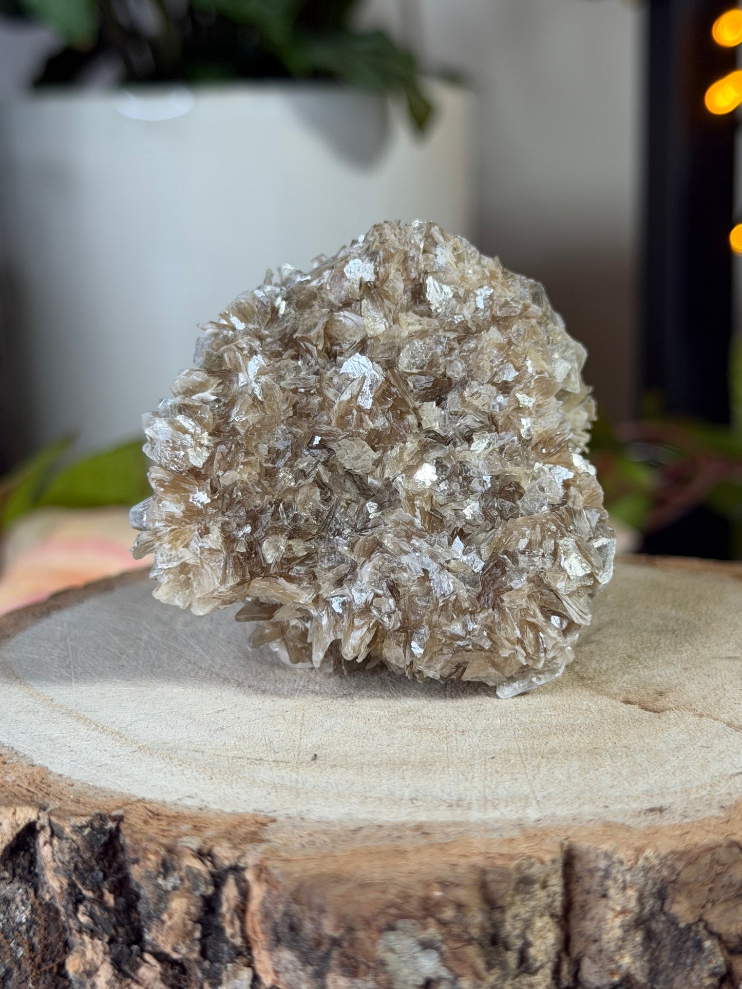 Star Mica with Zanazite from Brazil  | 76g