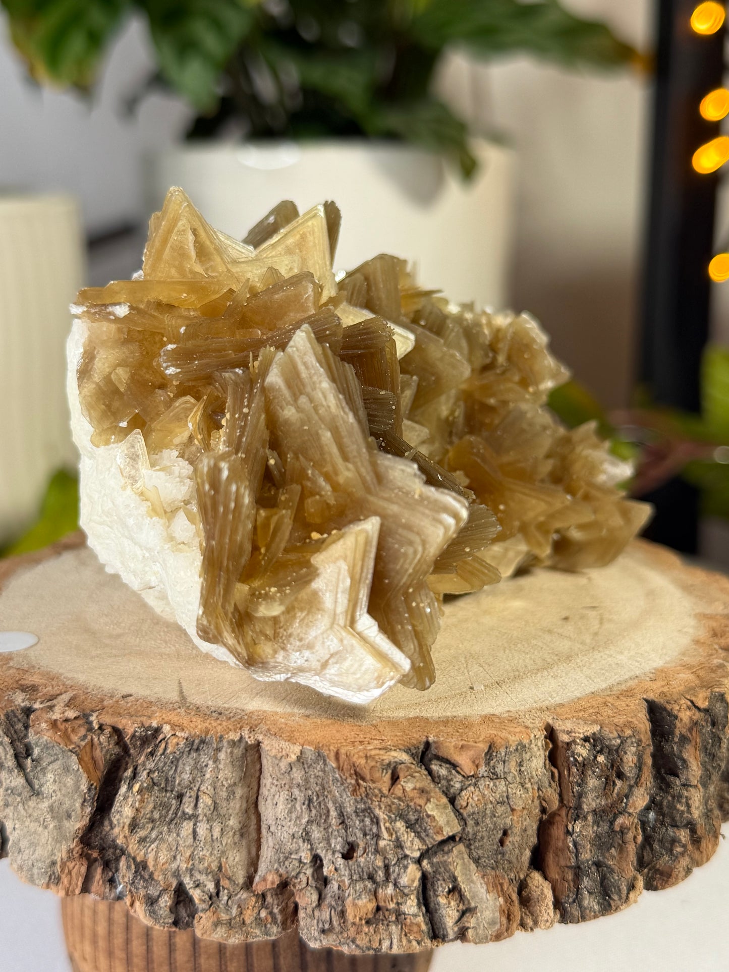 Gorgeous Star Mica from Brazil  | 318g