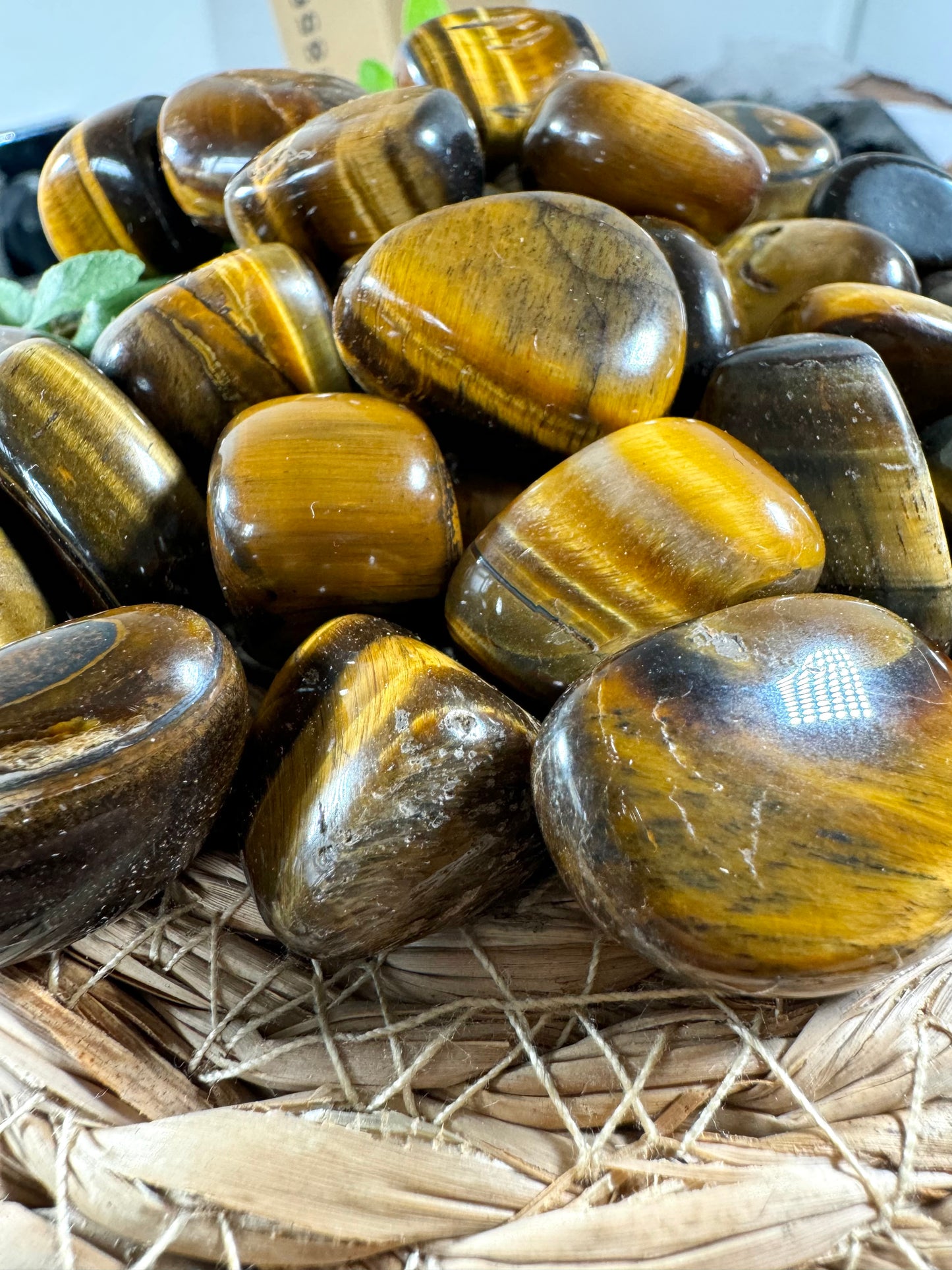 Tiger's eye Tumbles | Small / Medium sizes - Intuitively Chosen